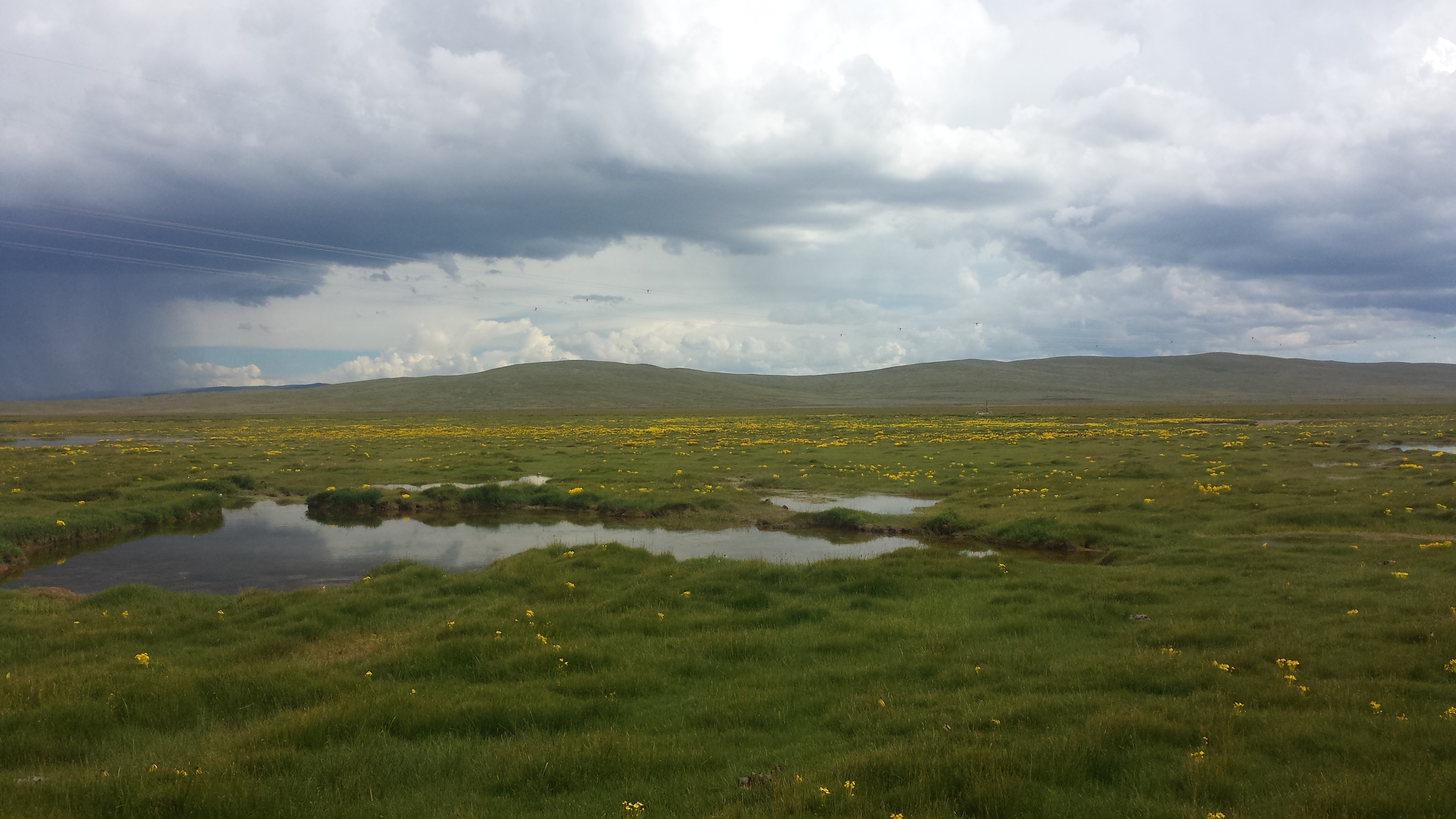 По пътя от Yushu (玉树，ཡུལ་ཤུལ་གྲོང་ཁྱེར།) до Madoi (玛多，རྨ་སྟོད་རྫོང), на 4450 м височина