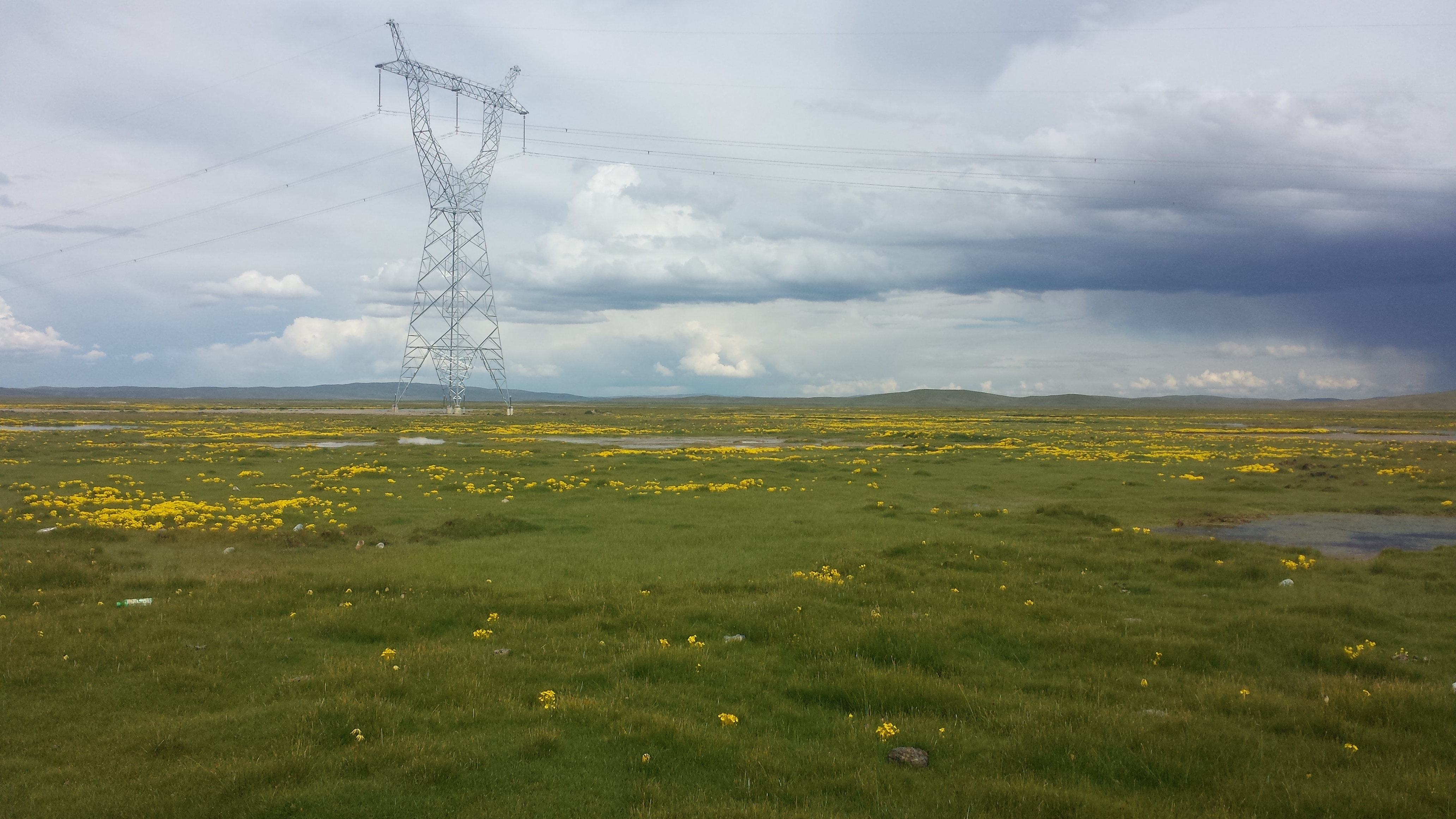 По пътя от Yushu (玉树，ཡུལ་ཤུལ་གྲོང་ཁྱེར།) до Madoi (玛多，རྨ་སྟོད་རྫོང), на 4450 м височина