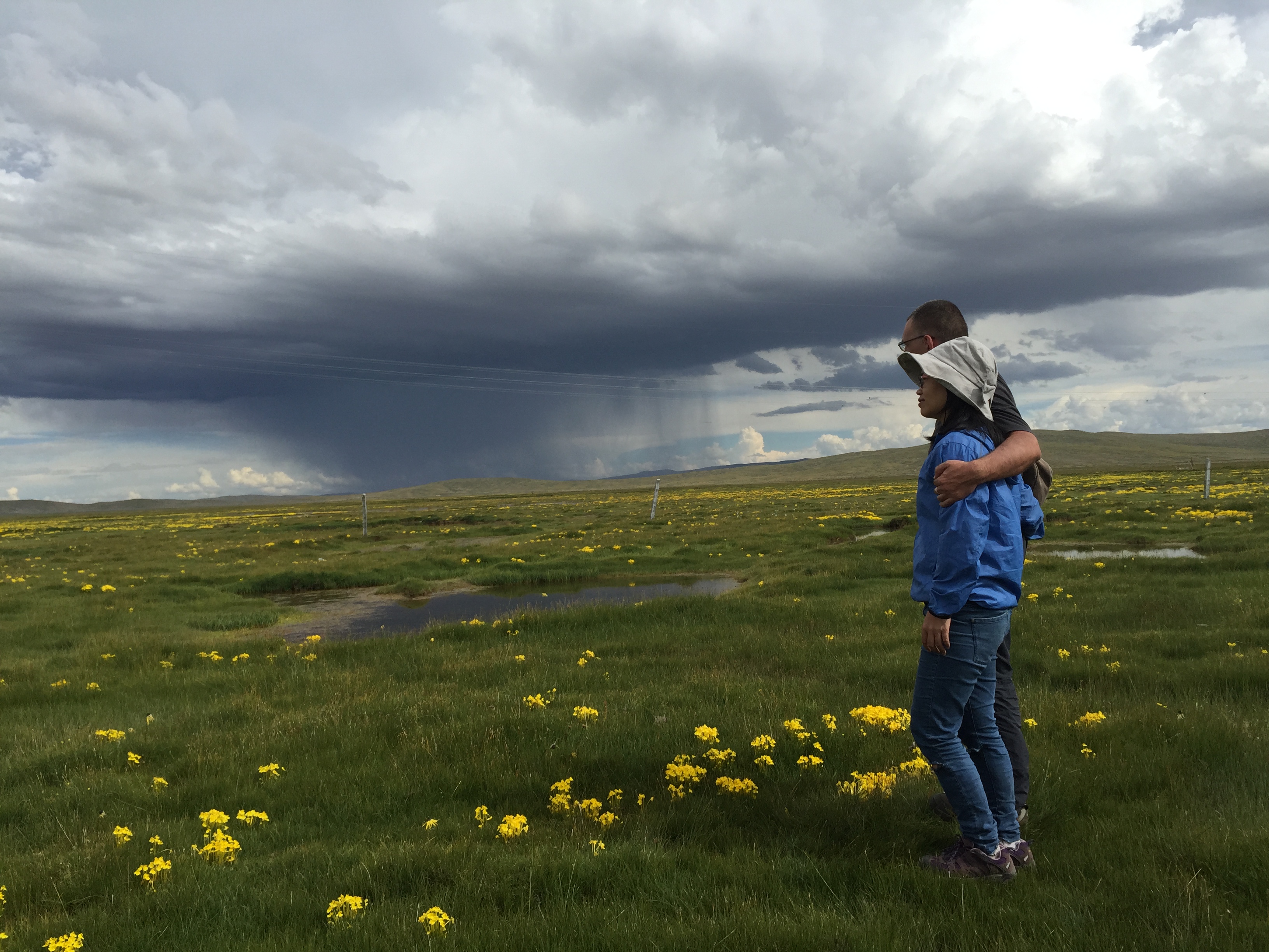 По пътя от Yushu (玉树，ཡུལ་ཤུལ་གྲོང་ཁྱེར།) до Madoi (玛多，རྨ་སྟོད་རྫོང), на 4450 м височина