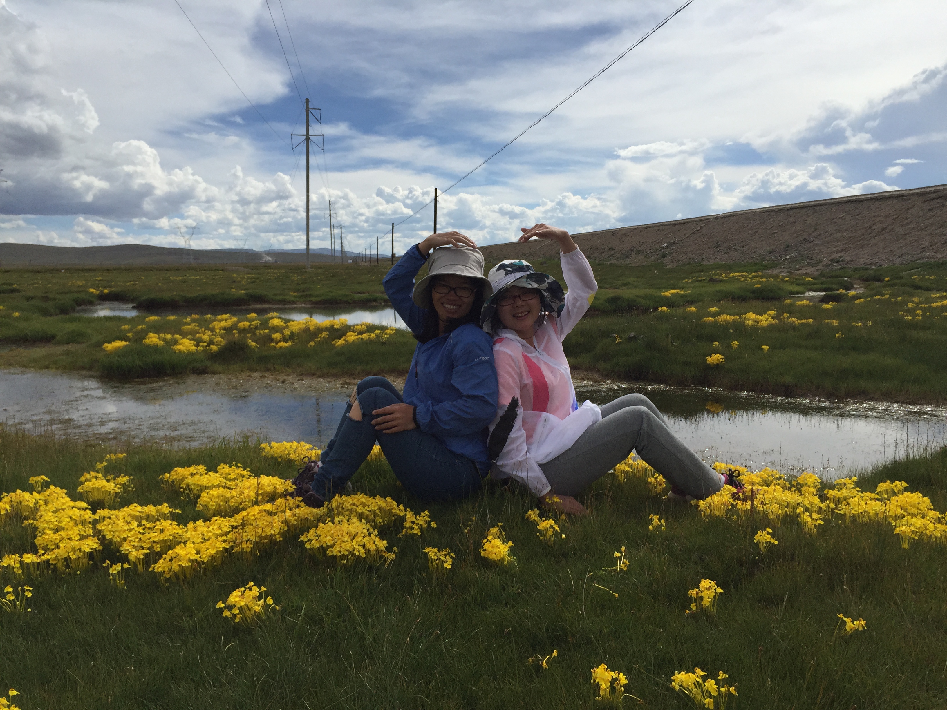 По пътя от Yushu (玉树，ཡུལ་ཤུལ་གྲོང་ཁྱེར།) до Madoi (玛多，རྨ་སྟོད་རྫོང), на 4450 м височина