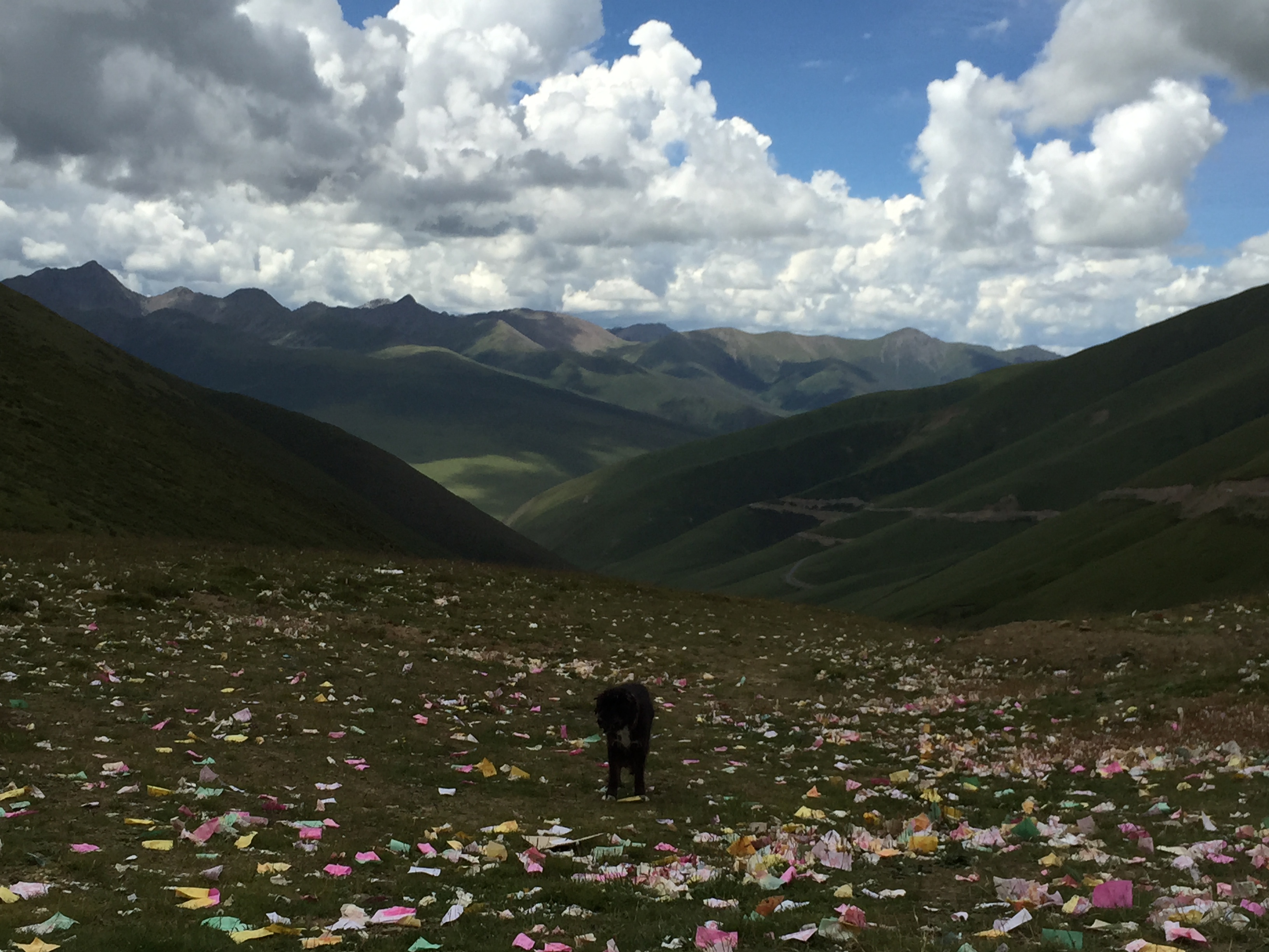 По пътя от Serxu (石渠，སེར་ཤུལ།) до Yushu (玉树，ཡུལ་ཤུལ་གྲོང་ཁྱེར།), прохода Anbala (安巴拉山垭口), на 4700 м височина 