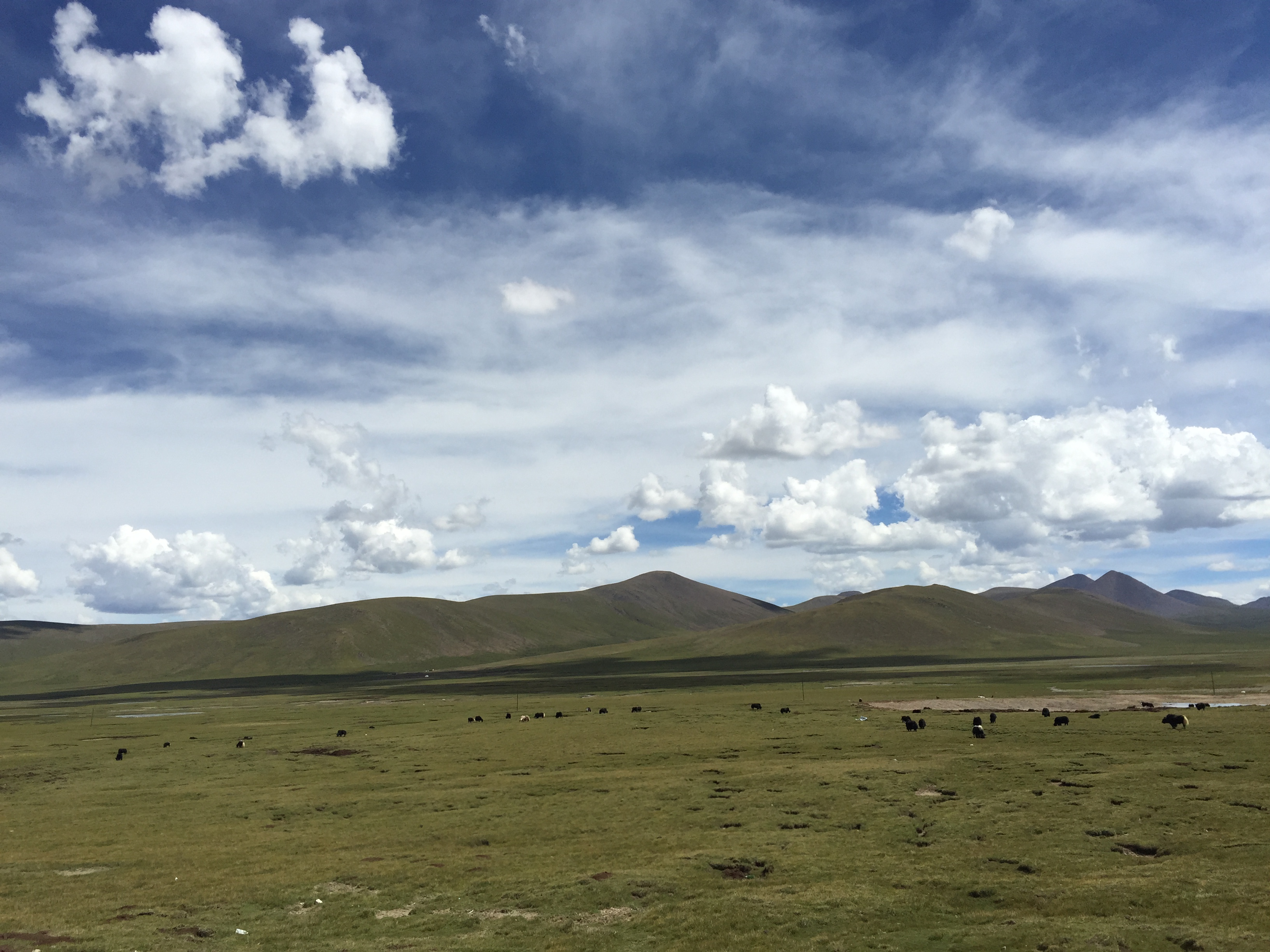 По пътя от Yushu (玉树，ཡུལ་ཤུལ་གྲོང་ཁྱེར།) до Madoi (玛多，རྨ་སྟོད་རྫོང), отново през високите степи, на 4600 м височина