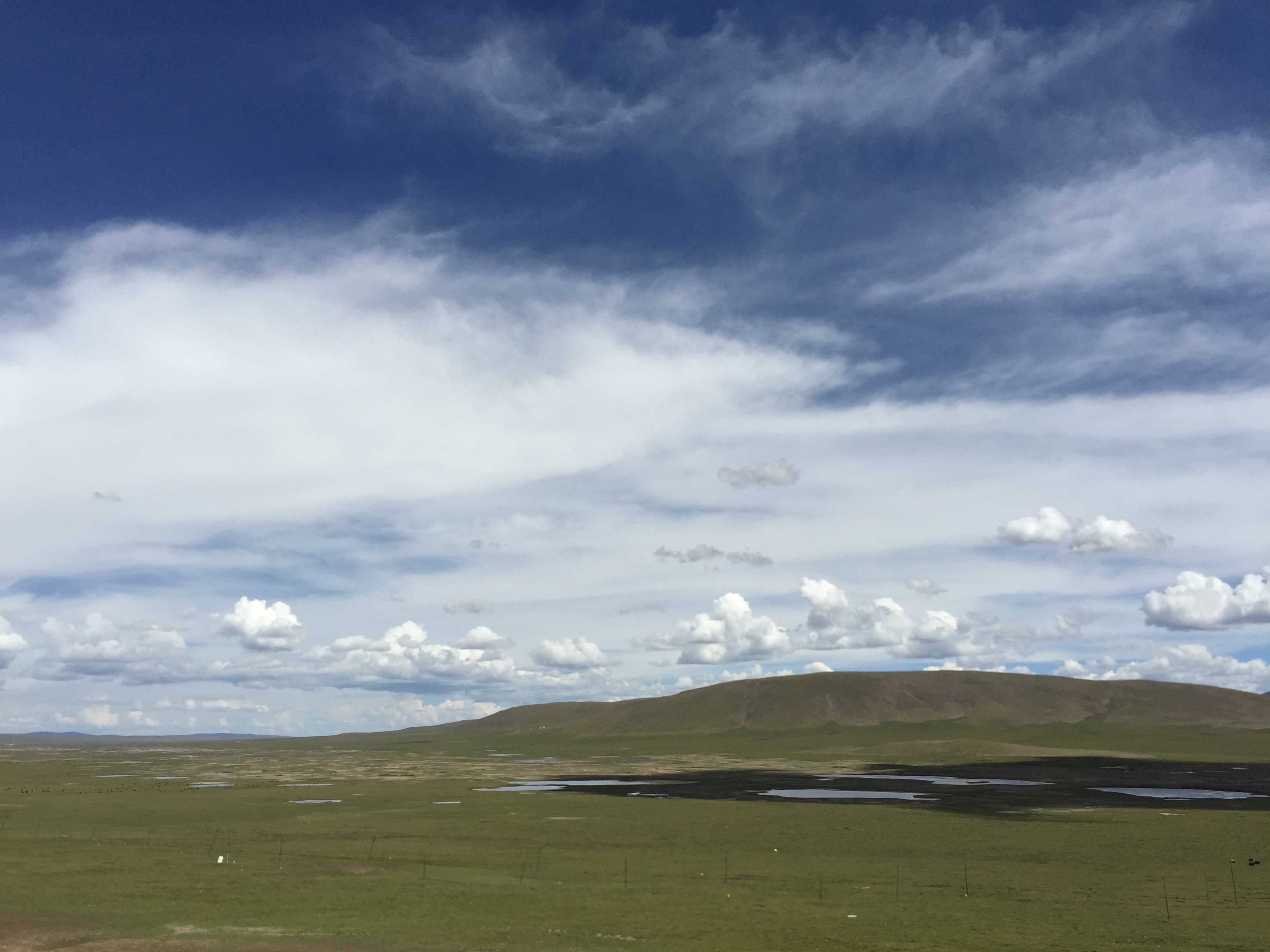 По пътя от Yushu (玉树，ཡུལ་ཤུལ་གྲོང་ཁྱེར།) до Madoi (玛多，རྨ་སྟོད་རྫོང), през високите степи, на 4550 м височина