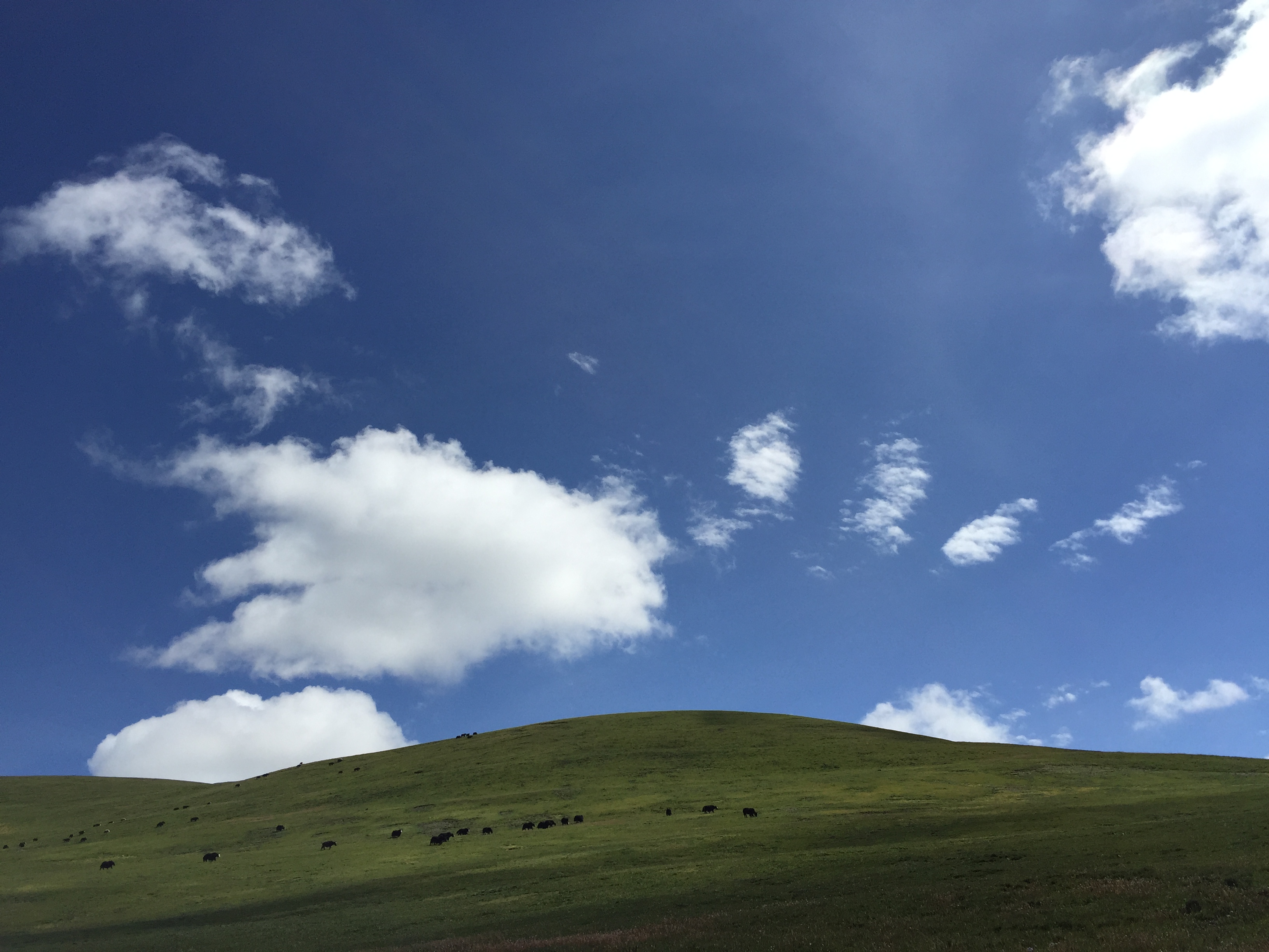 По пътя от Serxu (石渠，སེར་ཤུལ།) до Yushu (玉树，ཡུལ་ཤུལ་གྲོང་ཁྱེར།), на 4350 м височина