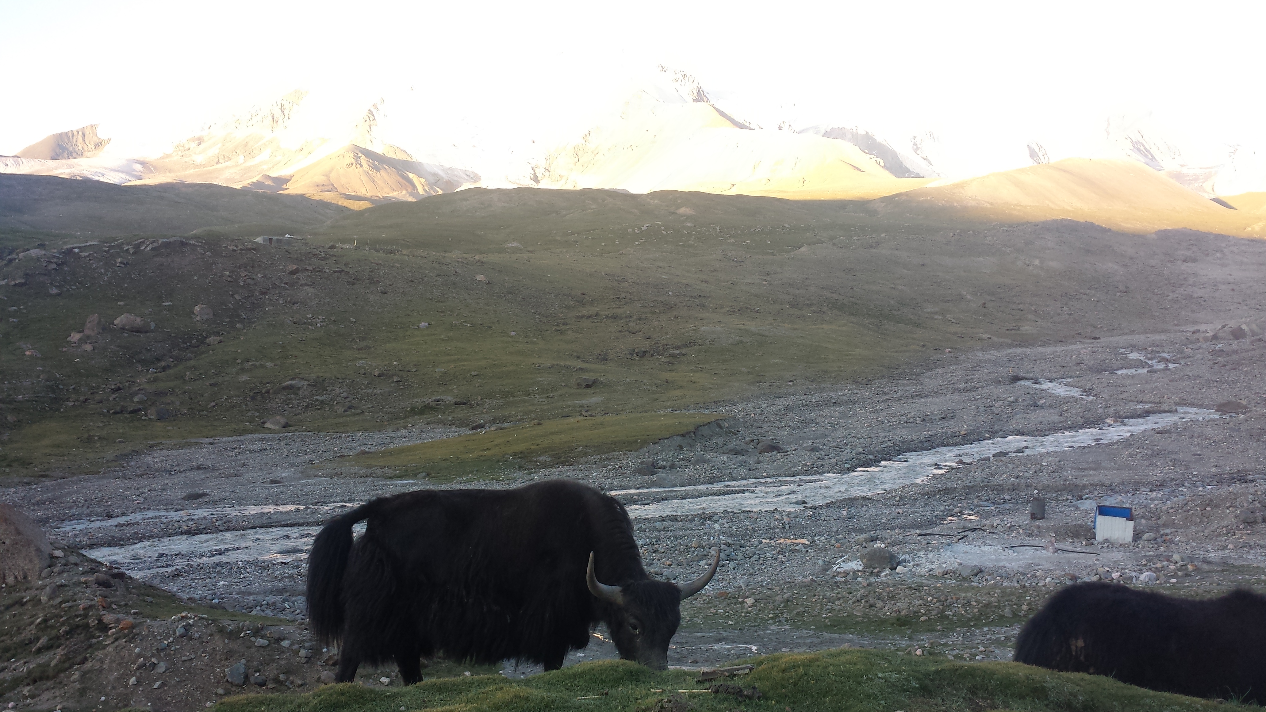 На планината Amnye Machen (阿尼玛卿山, ཨ་མྱེ་རྨ་ཆེན།), по изгрев, на 4400 м височина