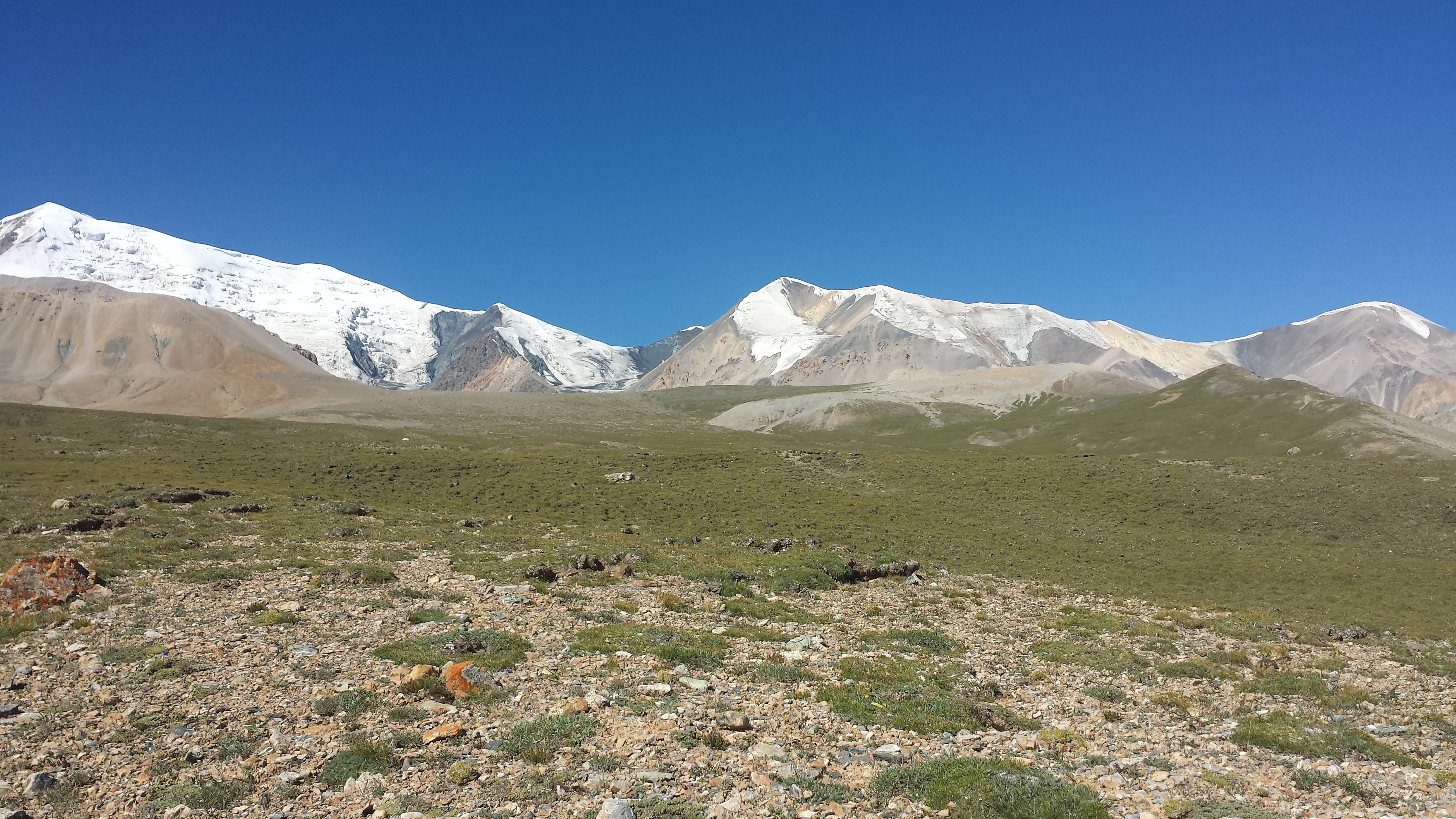 На планината Amnye Machen (阿尼玛卿山, ཨ་མྱེ་རྨ་ཆེན།), по склоновете, на 4600 м височина