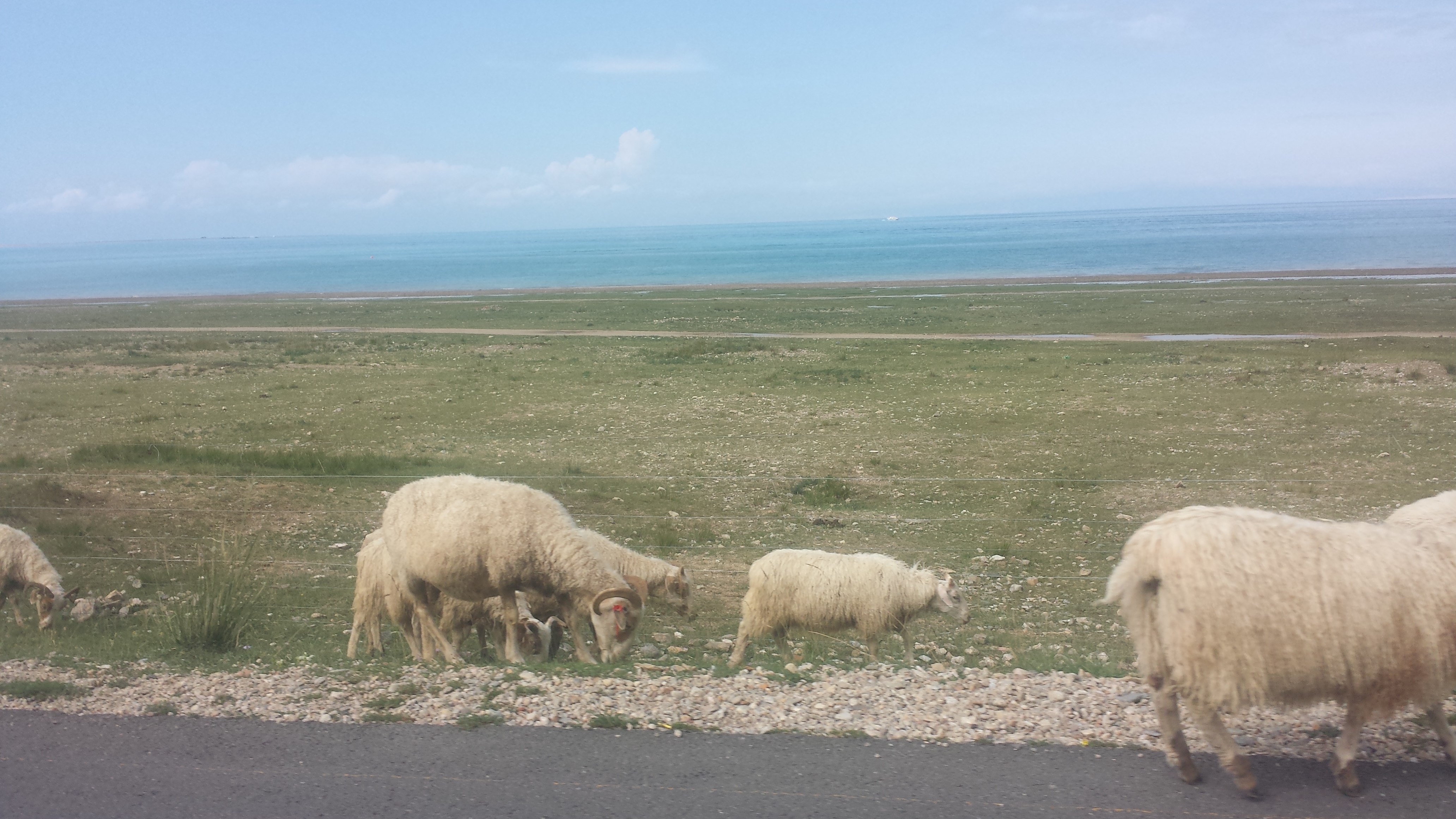 Езерото Чинхай (Qinghai lake, 青海湖，མཚོ་སྔོན་པོ།), на 3205 м височина