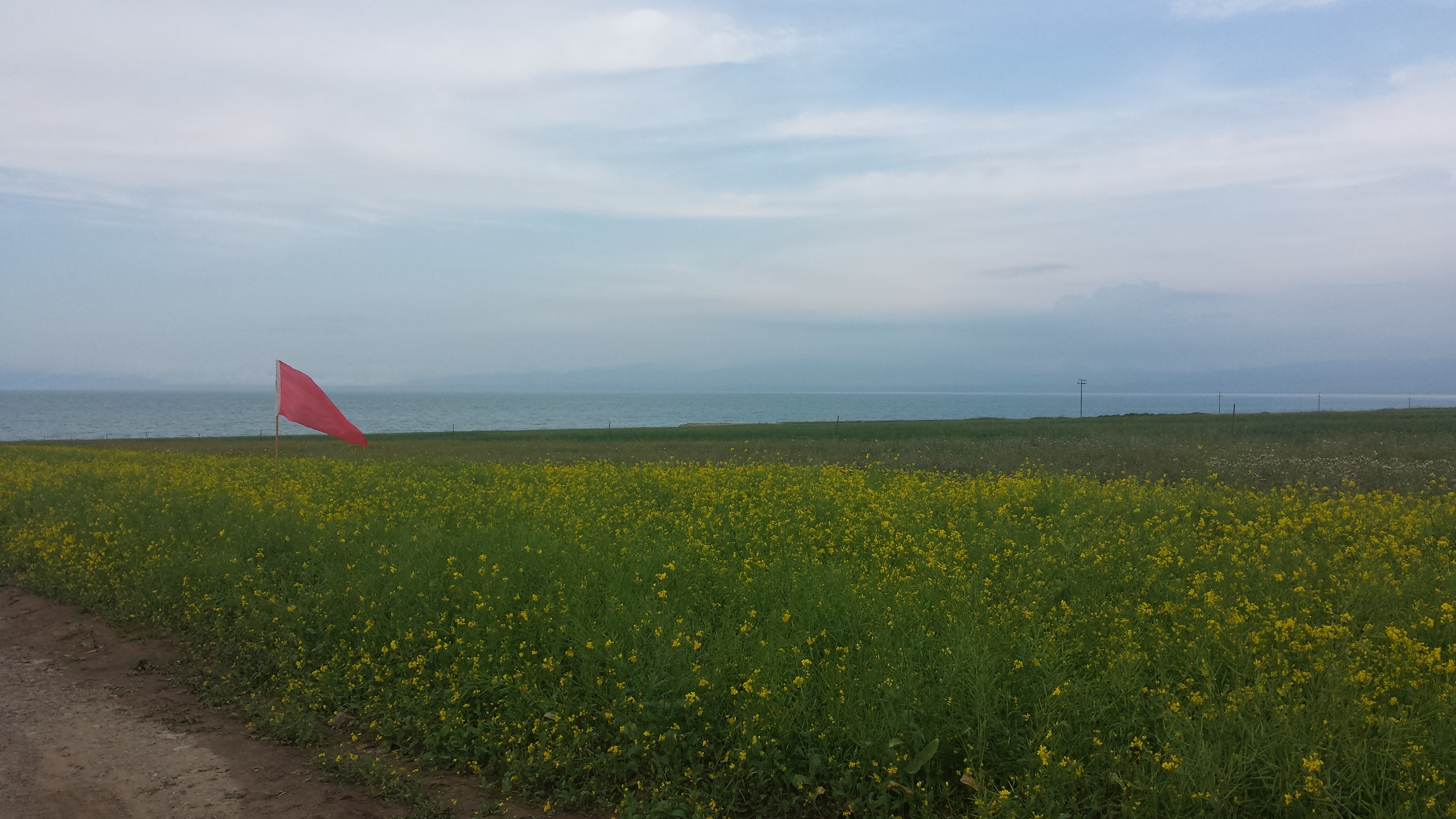 Езерото Чинхай (Qinghai lake, 青海湖，མཚོ་སྔོན་པོ།), на 3205 м височина