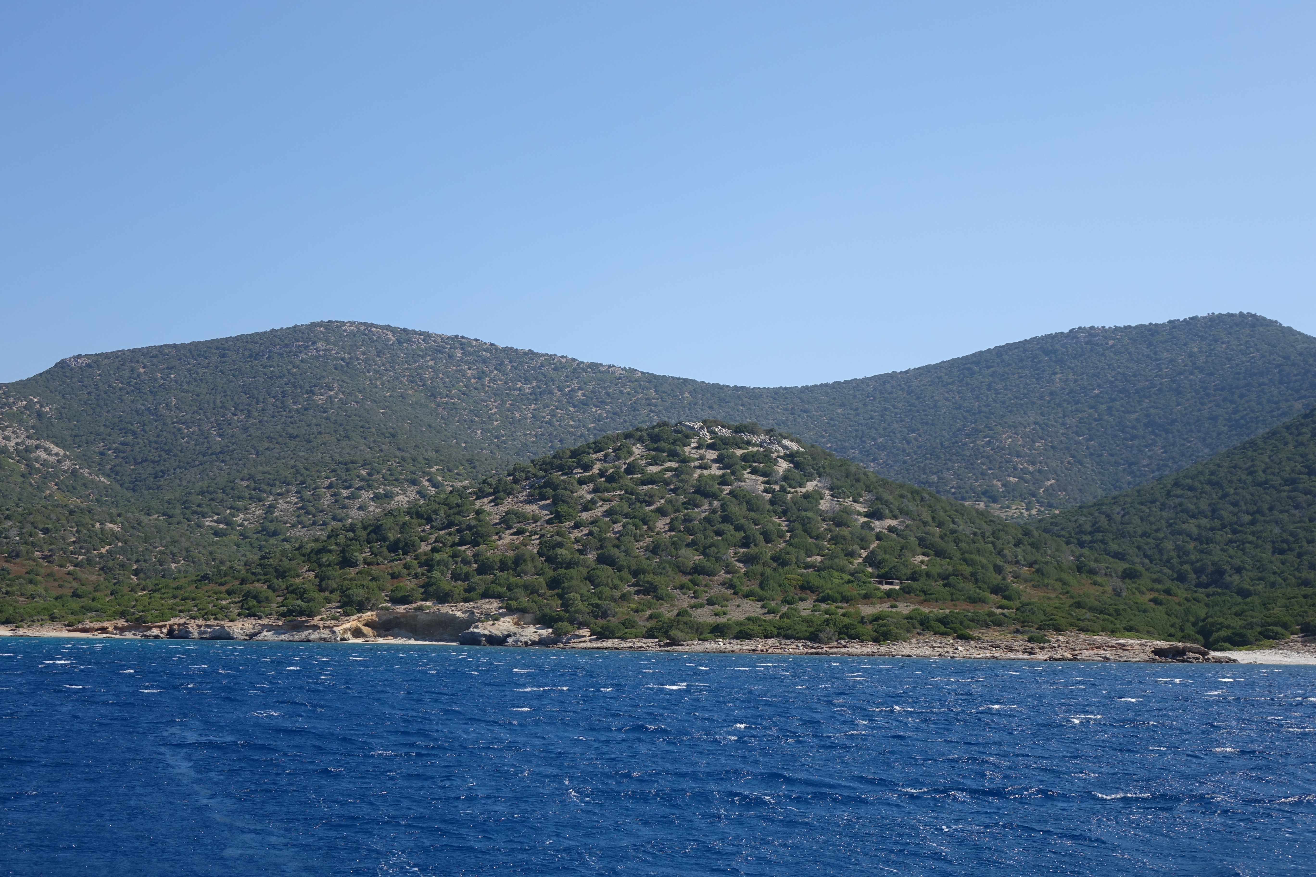 DSC04695