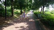 Qingyuan- walk in the park
Чинюан- на разходка в парка
