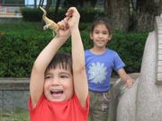 Qingyuan- walk on the Beijiang river's north bank
Чинюан- разходка по северния бряг на река Бейдзян