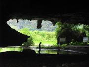 Jiulong- Yingxi mountain forest
Дзюлонг- куполни хълмове Ингси