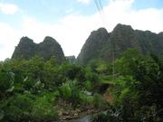 Jiulong- Yingxi mountain forest
Дзюлонг- куполни хълмове Ингси