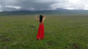 August 6: Zoige grasslands (若尔盖, མཛོད་དགེ་)，3430 m altitude Август 6: Степите Зойге (若尔盖, མཛོད་དགེ་), 3430 м височина