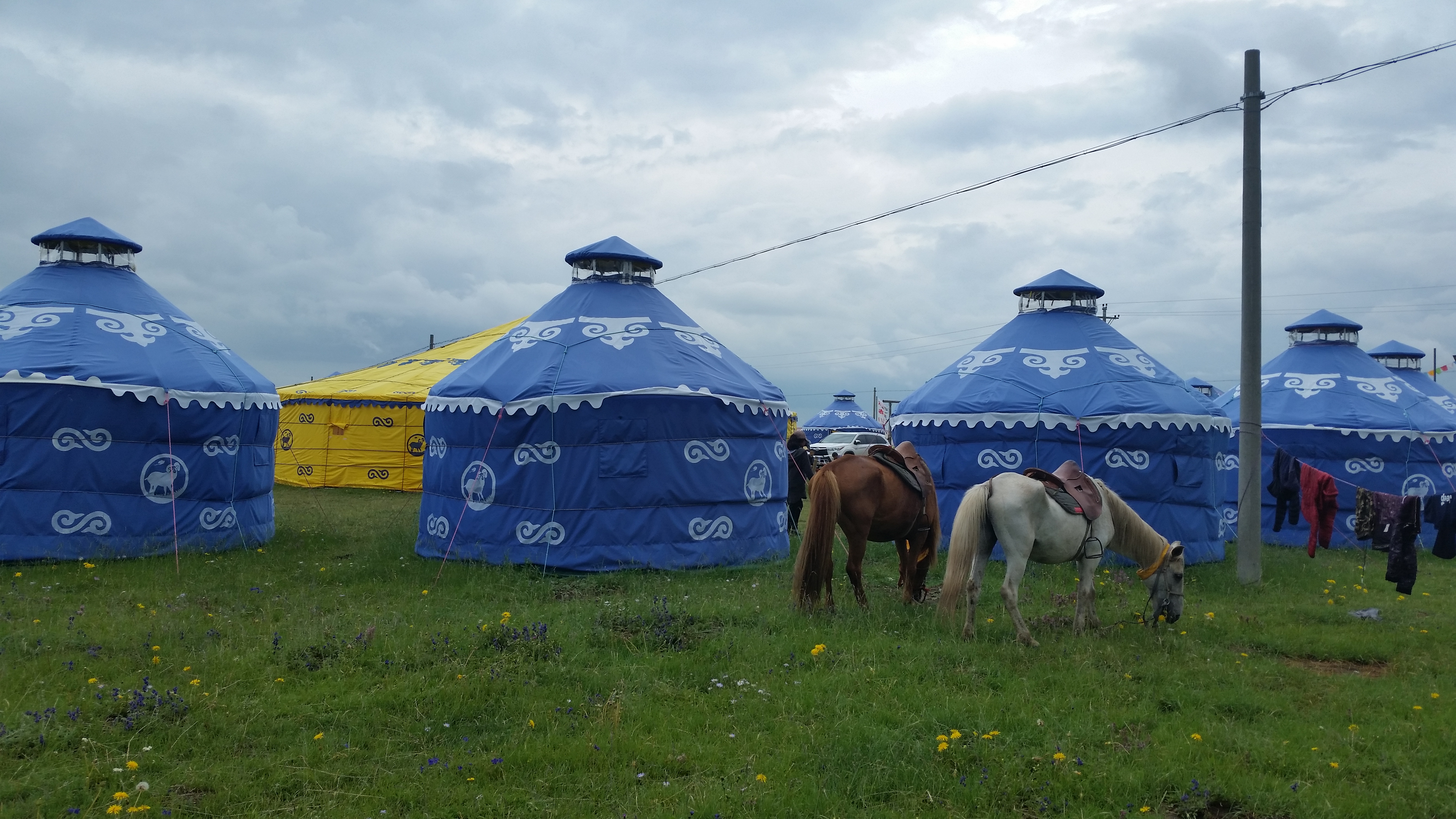 August 6: Zoige grasslands (若尔盖, མཛོད་དགེ་)，3430 m altitude Август 6: Степите Зойге (若尔盖, མཛོད་དགེ་), 3430 м височина