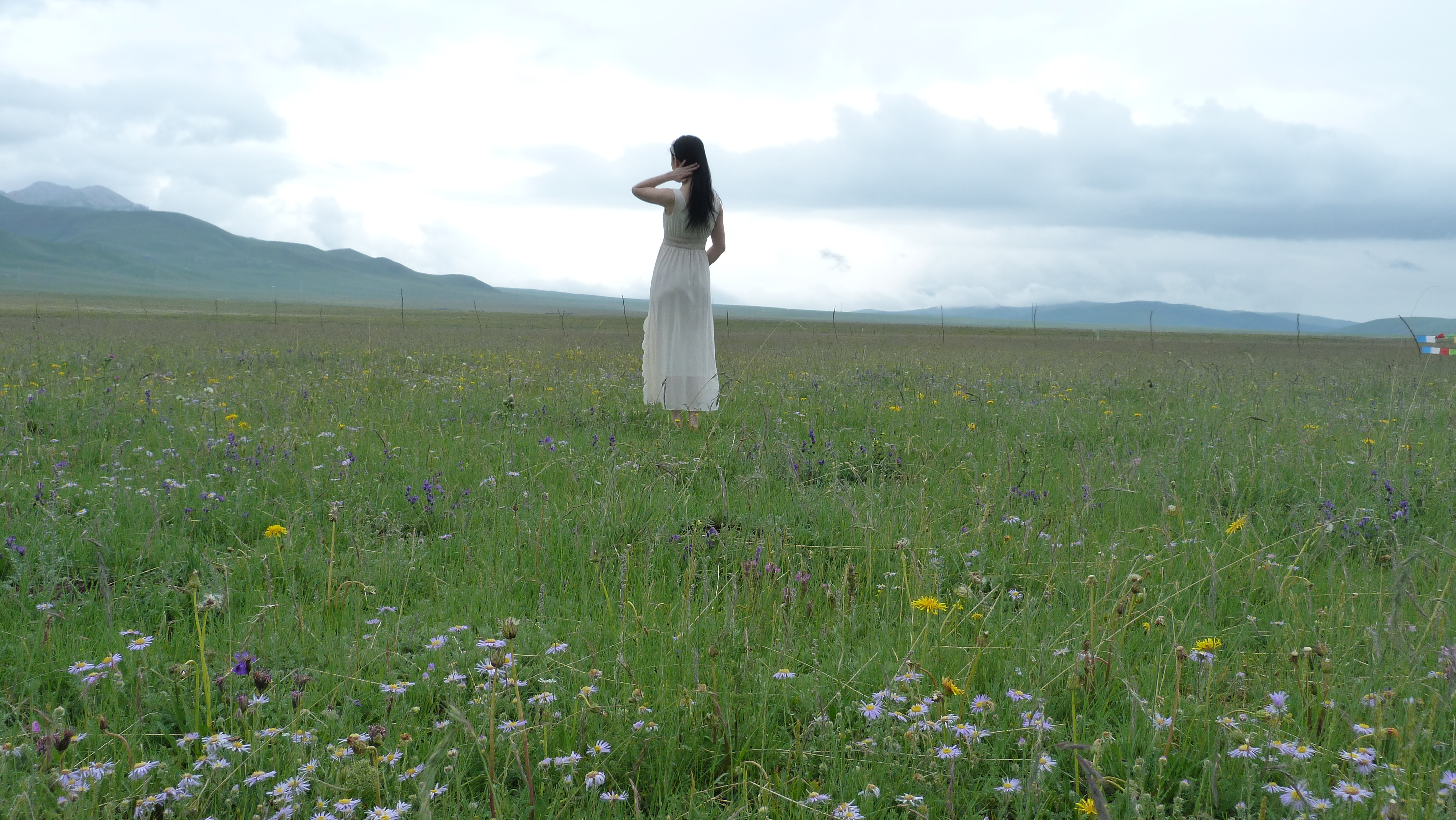 August 6: Zoige grasslands (若尔盖, མཛོད་དགེ་)，3430 m altitude Август 6: Степите Зойге (若尔盖, མཛོད་དགེ་), 3430 м височина