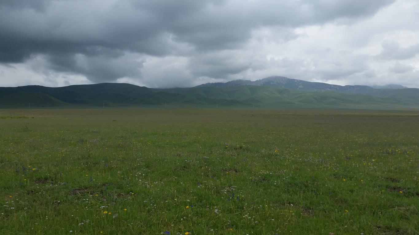 August 6: Zoige grasslands (若尔盖, མཛོད་དགེ་)，3430 m altitude Август 6: Степите Зойге (若尔盖, མཛོད་དགེ་), 3430 м височина