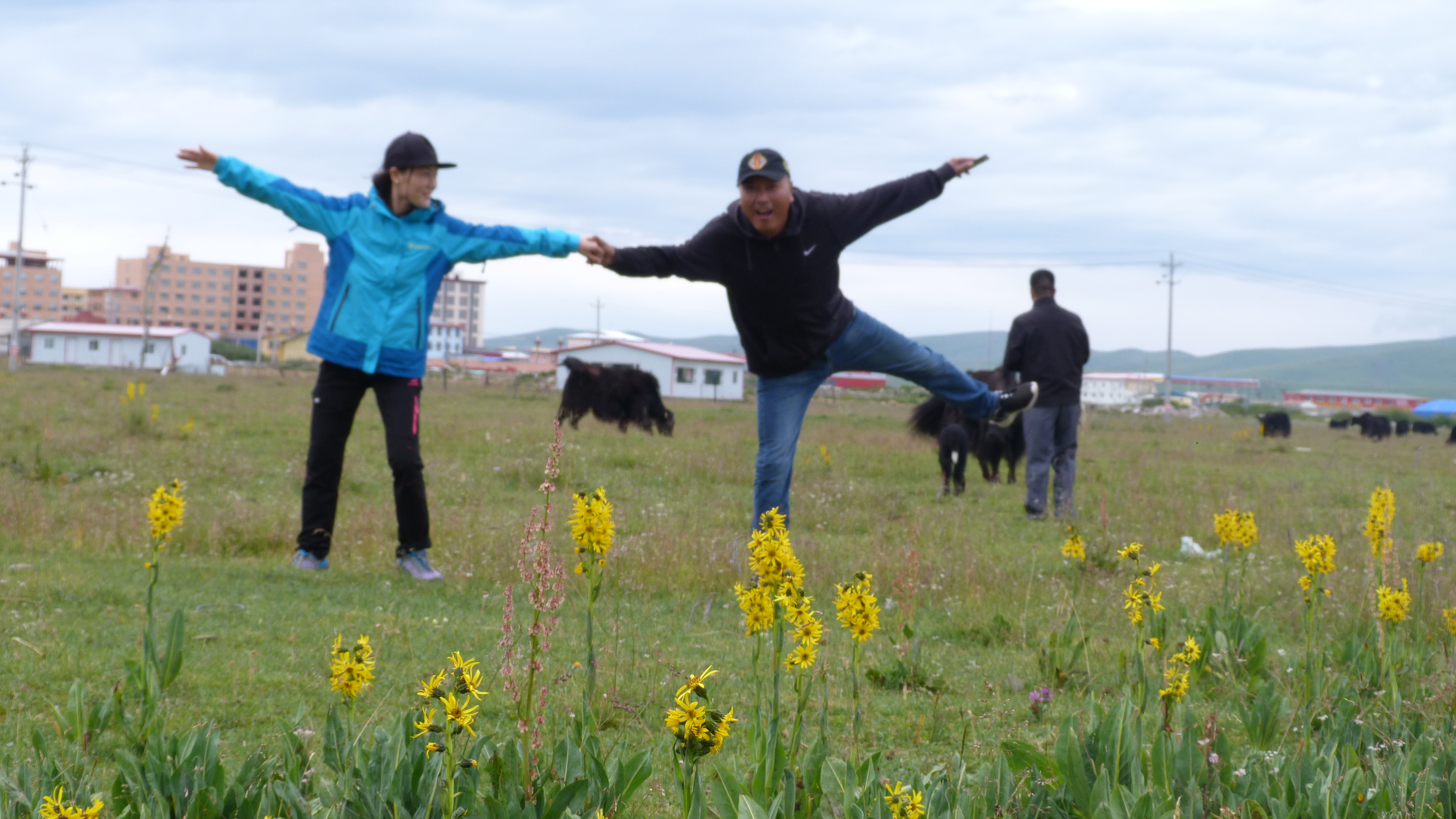 August 6: Zoige grasslands (若尔盖, མཛོད་དགེ་)，3410 m altitude Август 6: Степите Зойге (若尔盖, མཛོད་དགེ་), 3410 м височина