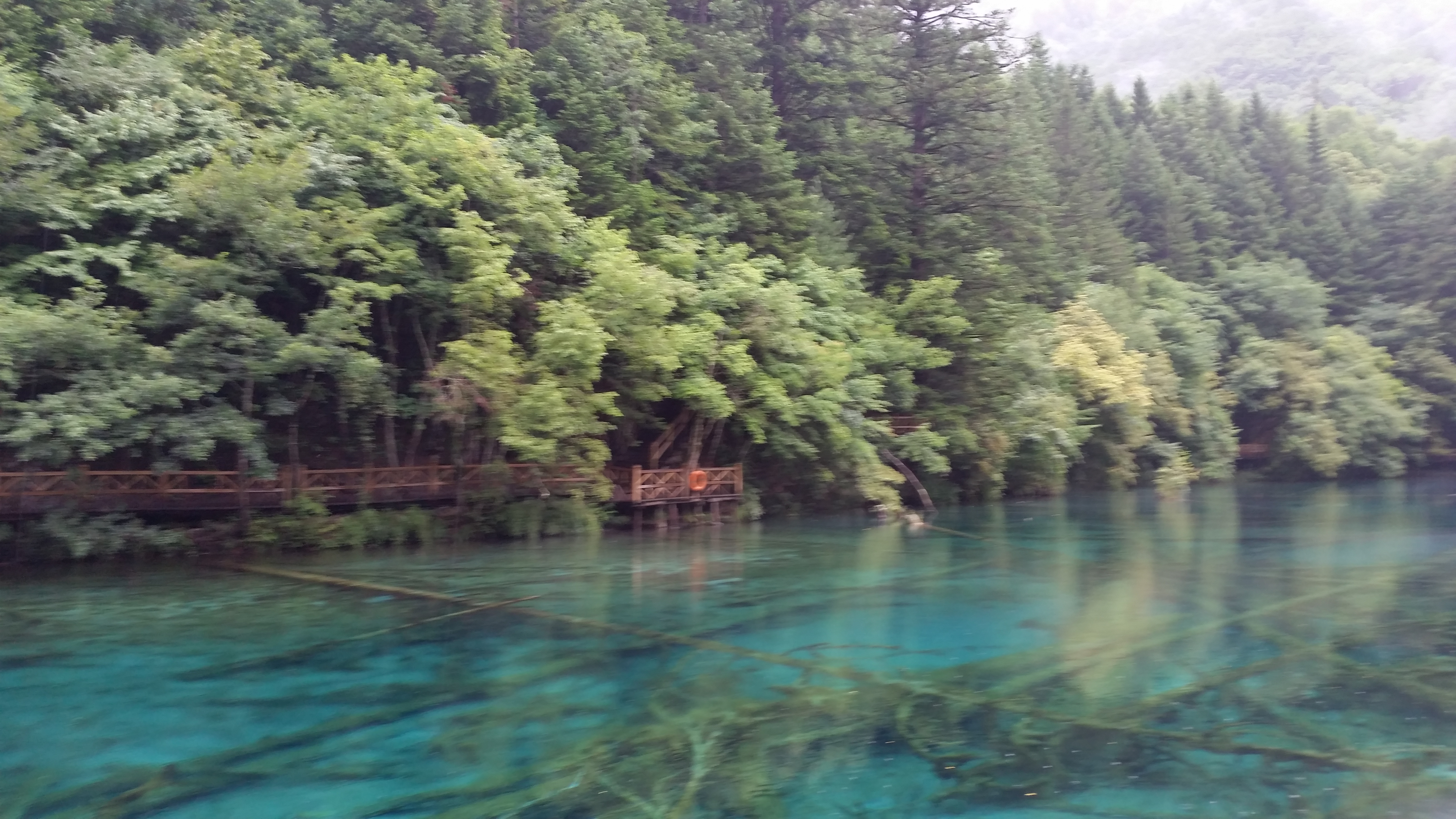 August 7: Jiuzhaigou (九寨沟) Five flowers lake (五花海），2620 m altitude Август 7: Дзиуджайгоу (九寨沟), езерото Пет цветя (五花海），2620 м в