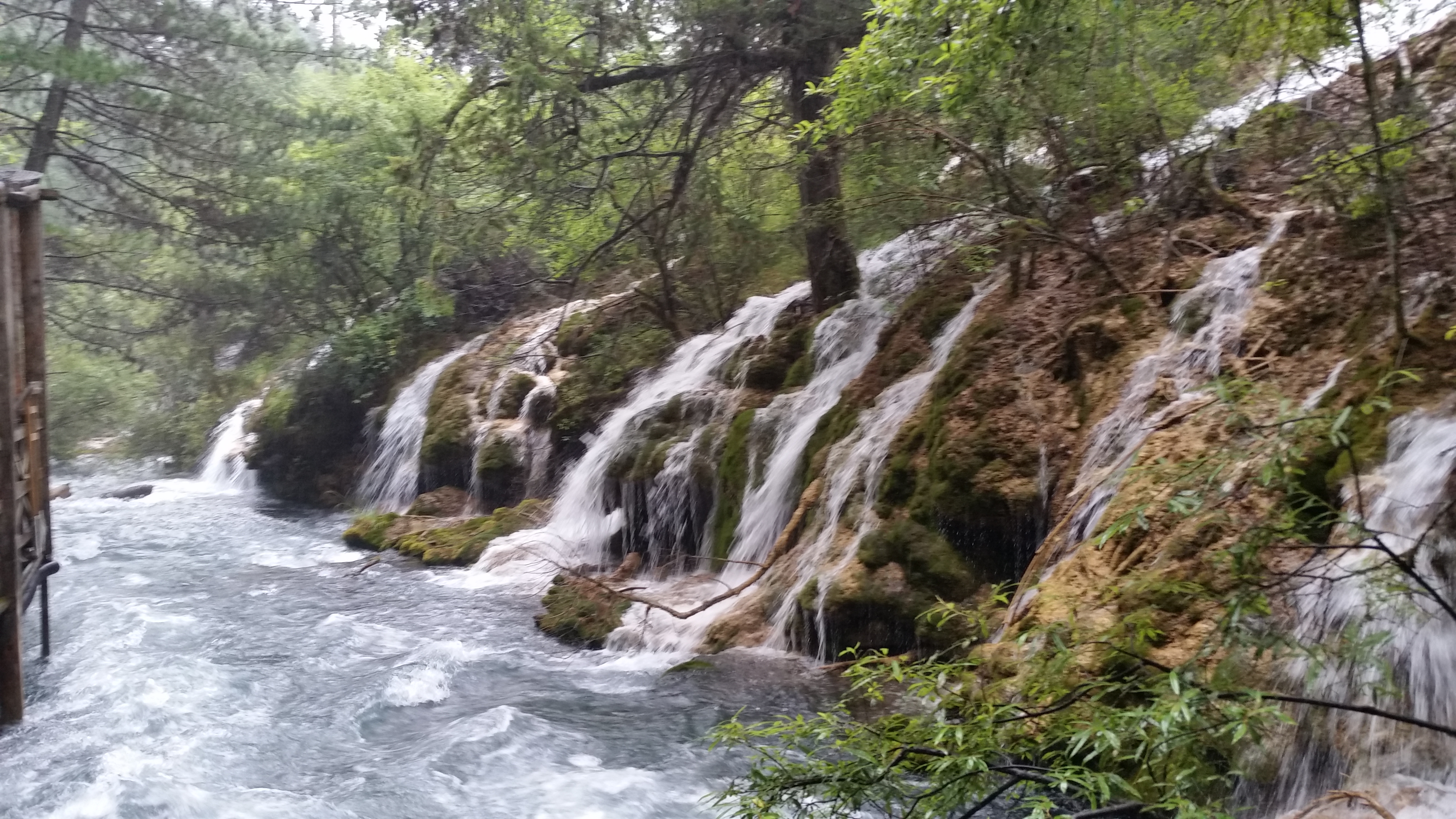 August 7: Jiuzhaigou (九寨沟) Pearl shoal waterfall (珍珠滩瀑布），2570 m altitude Август 7: Дзиуджайгоу (九寨沟), водопад Перлена плитчина (