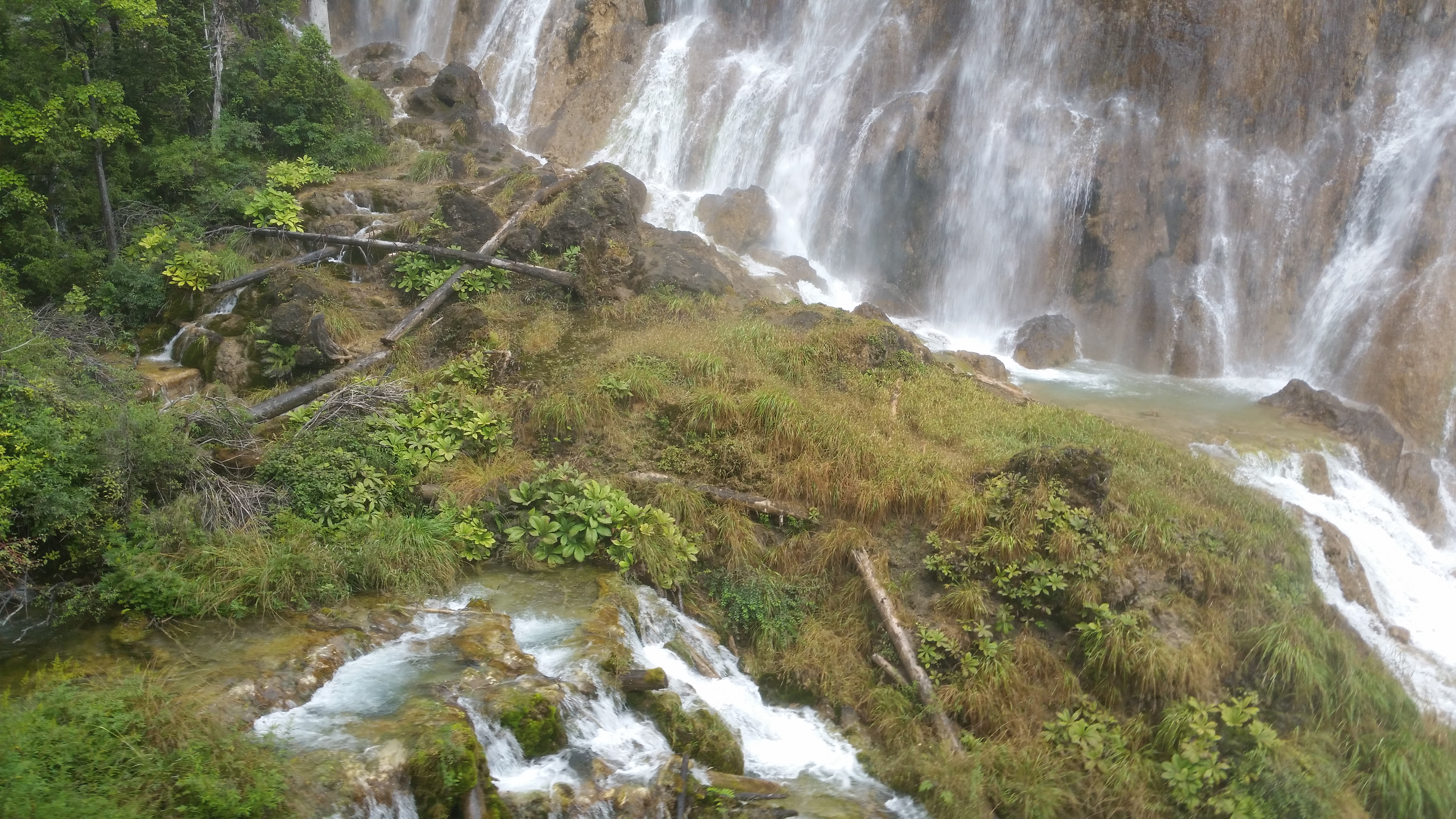 August 7: Jiuzhaigou (九寨沟) Nuorilang waterfall (诺日朗瀑布），2460 m altitude Август 7: Дзиуджайгоу (九寨沟), водопада Нуоръланг (诺日朗瀑布）,