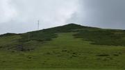 August 7: Zoige south grasslands (若尔盖, མཛོད་དགེ་)，3680 m altitude Август 7: Южните степи на Зойге (若尔盖, མཛོད་དགེ་), 3680 м височ