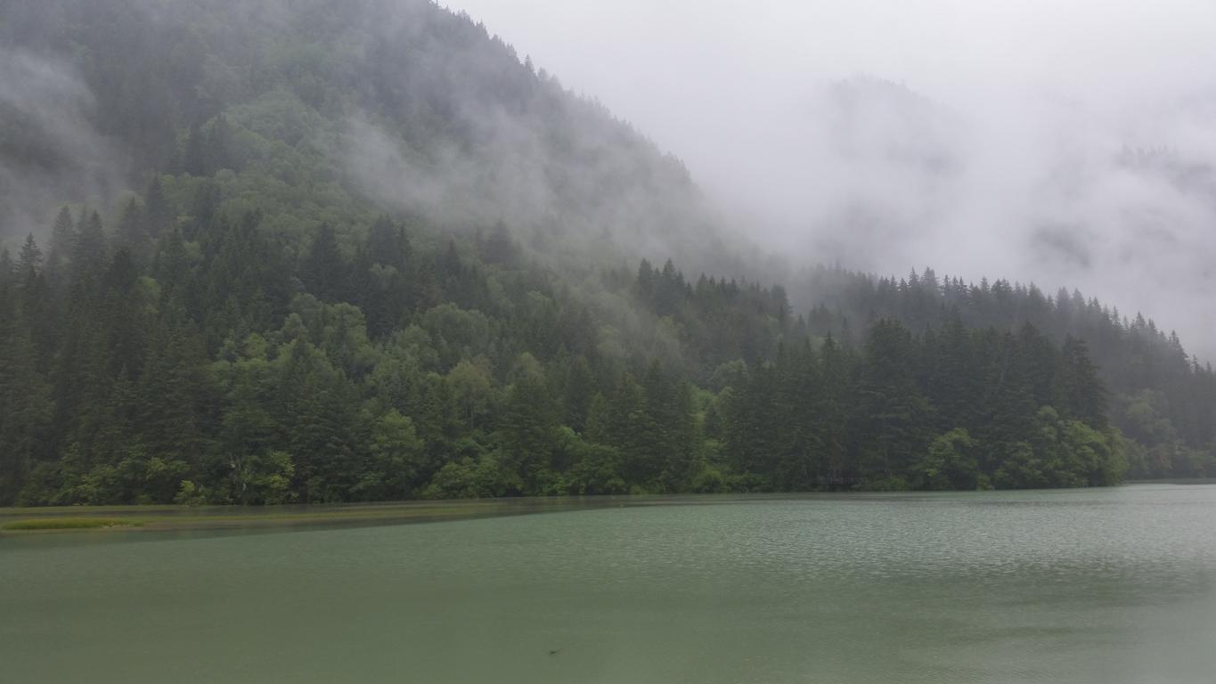 August 7: Jiuzhaigou (九寨沟) Arrow Bamboo lake (箭竹海），2740 m altitude Август 7: Дзиуджайгоу (九寨沟), езерото Бамбукова стрела (箭竹海），2