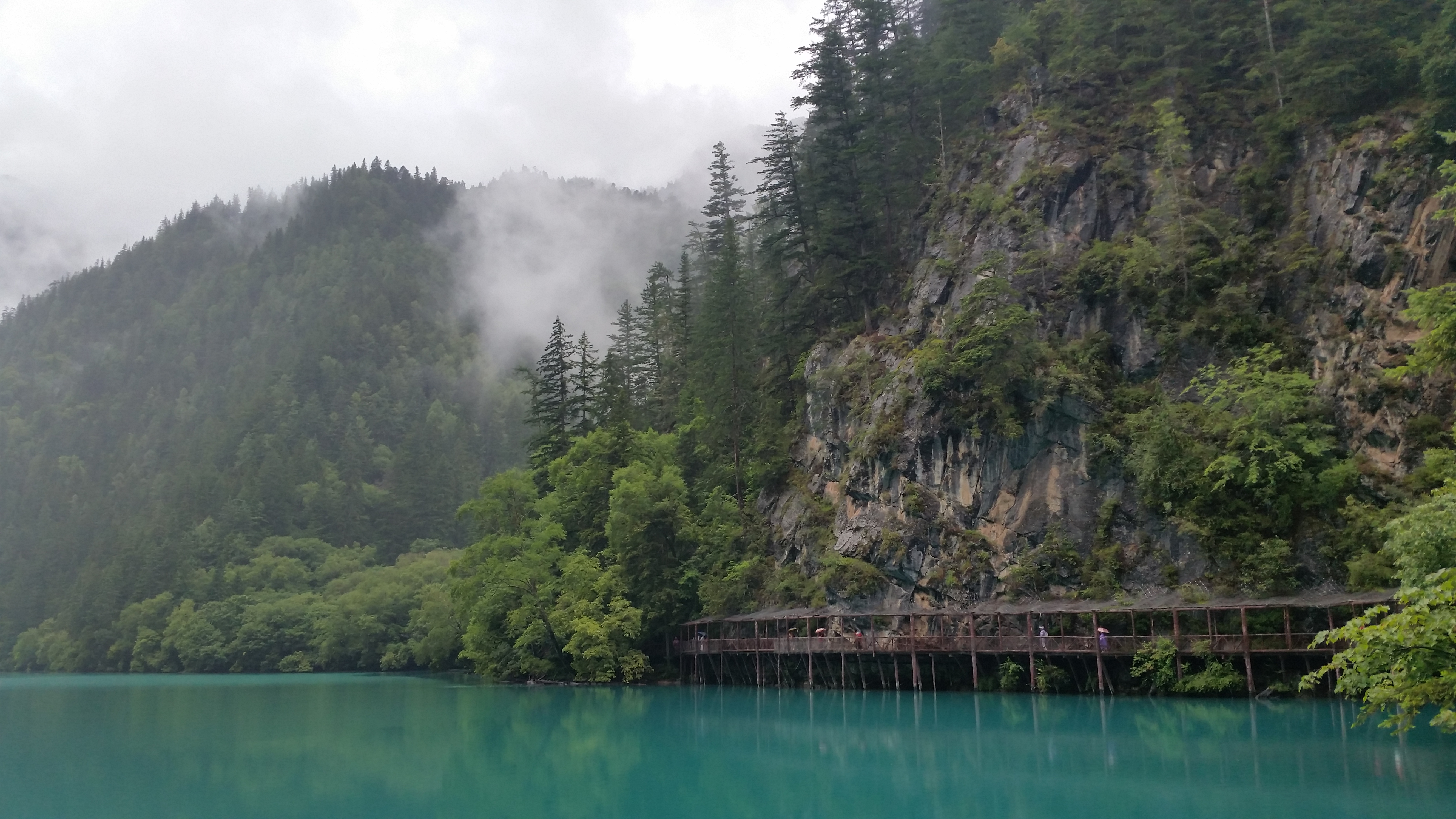 August 7: Jiuzhaigou (九寨沟) Panda lake (熊猫海），2680 m altitude Август 7: Дзиуджайгоу (九寨沟), езерото Панда (熊猫海），2680 м височина