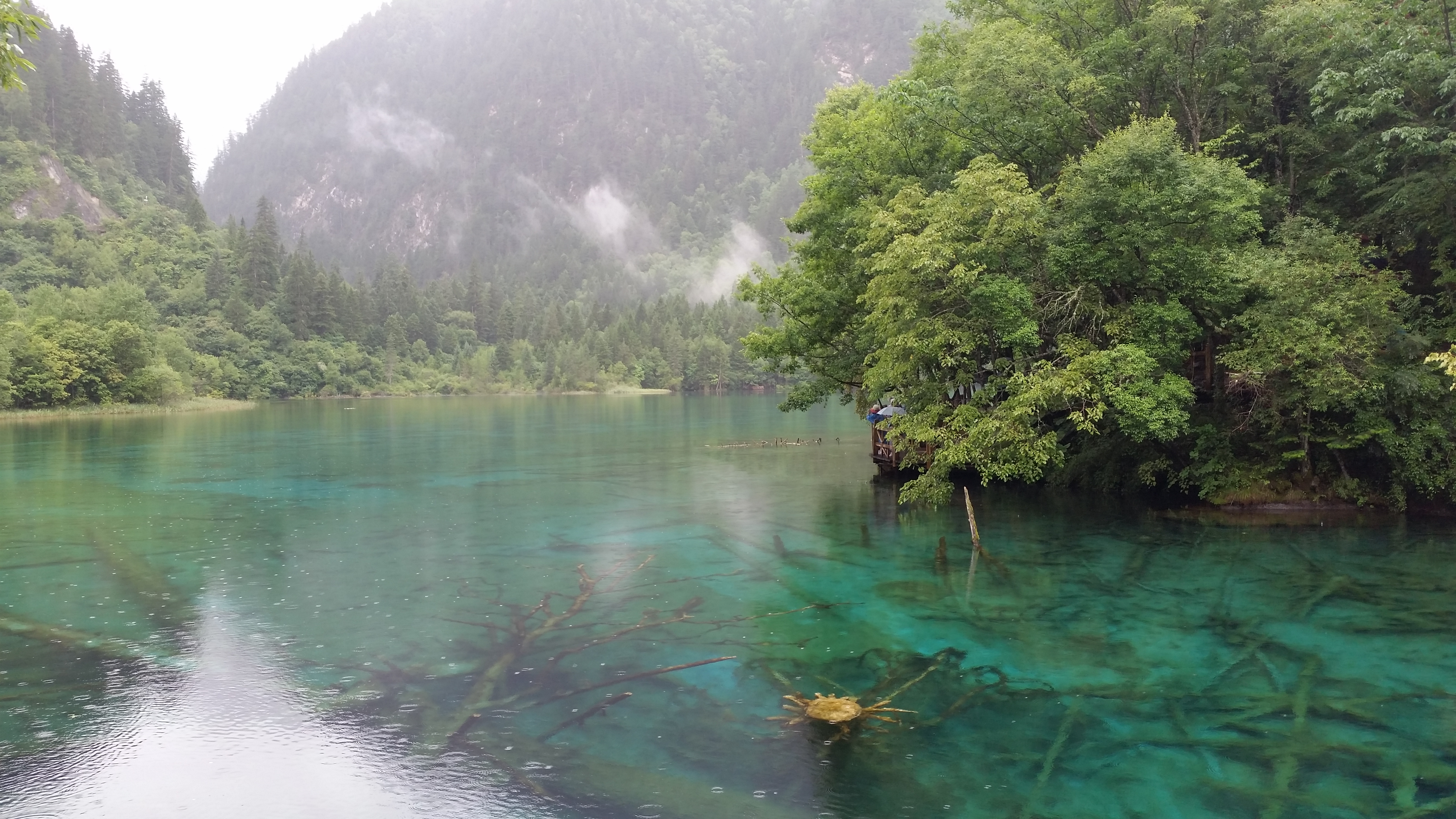 August 7: Jiuzhaigou (九寨沟) Five flowers lake (五花海），2620 m altitude Август 7: Дзиуджайгоу (九寨沟), езерото Пет цветя (五花海），2620 м в