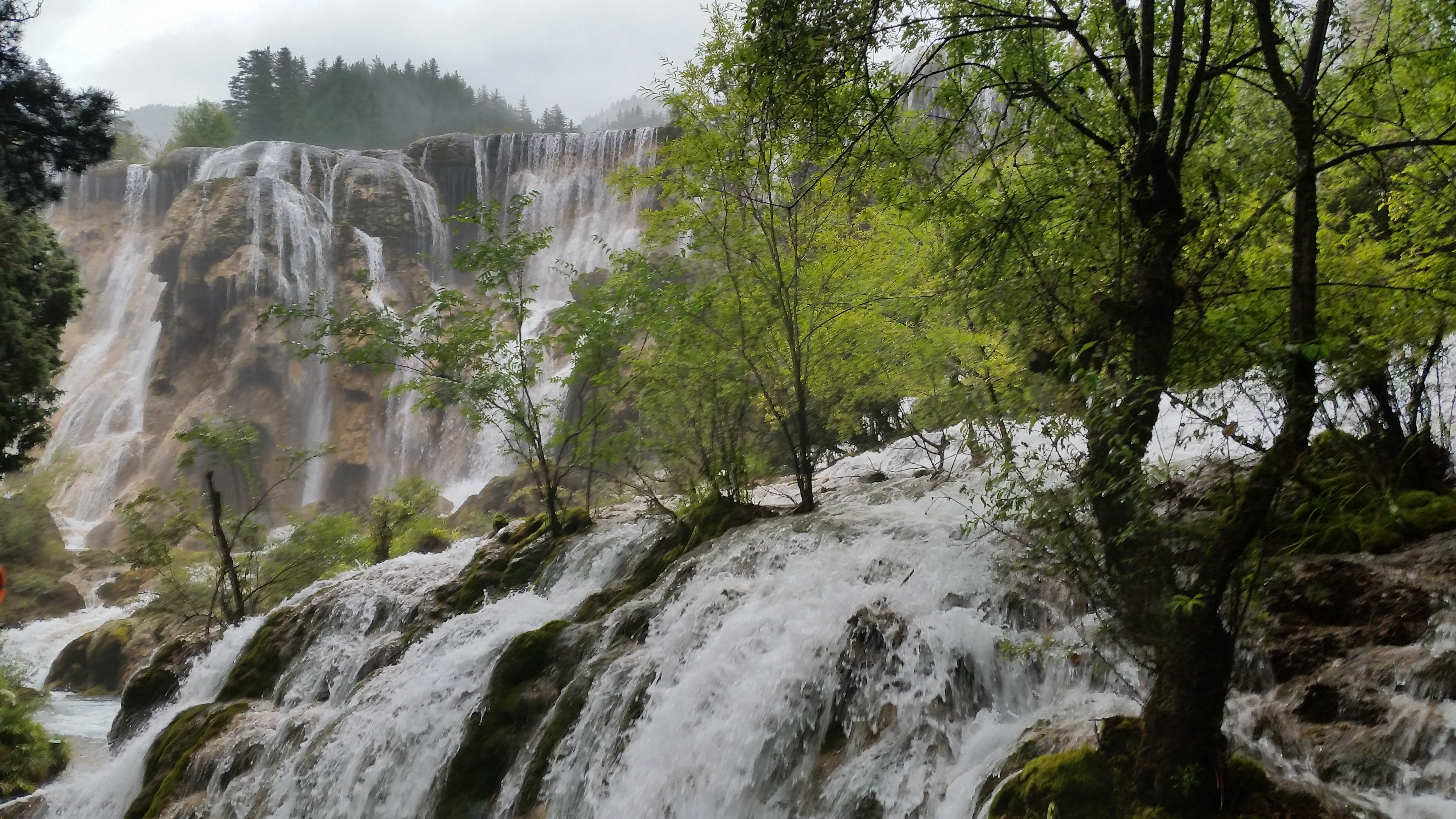 August 7: Jiuzhaigou (九寨沟) Pearl shoal waterfall (珍珠滩瀑布），2570 m altitude Август 7: Дзиуджайгоу (九寨沟), водопад Перлена плитчина (