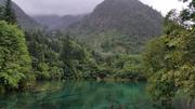 August 7: Jiuzhaigou (九寨沟) Five flowers lake (五花海），2620 m altitude Август 7: Дзиуджайгоу (九寨沟), езерото Пет цветя (五花海），2620 м в