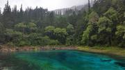 August 7: Jiuzhaigou (九寨沟) Five color pond (五彩池），3020 m altitude Август 7: Дзиуджайгоу (九寨沟), Петцветното езеро (五彩池), 3020 м ви