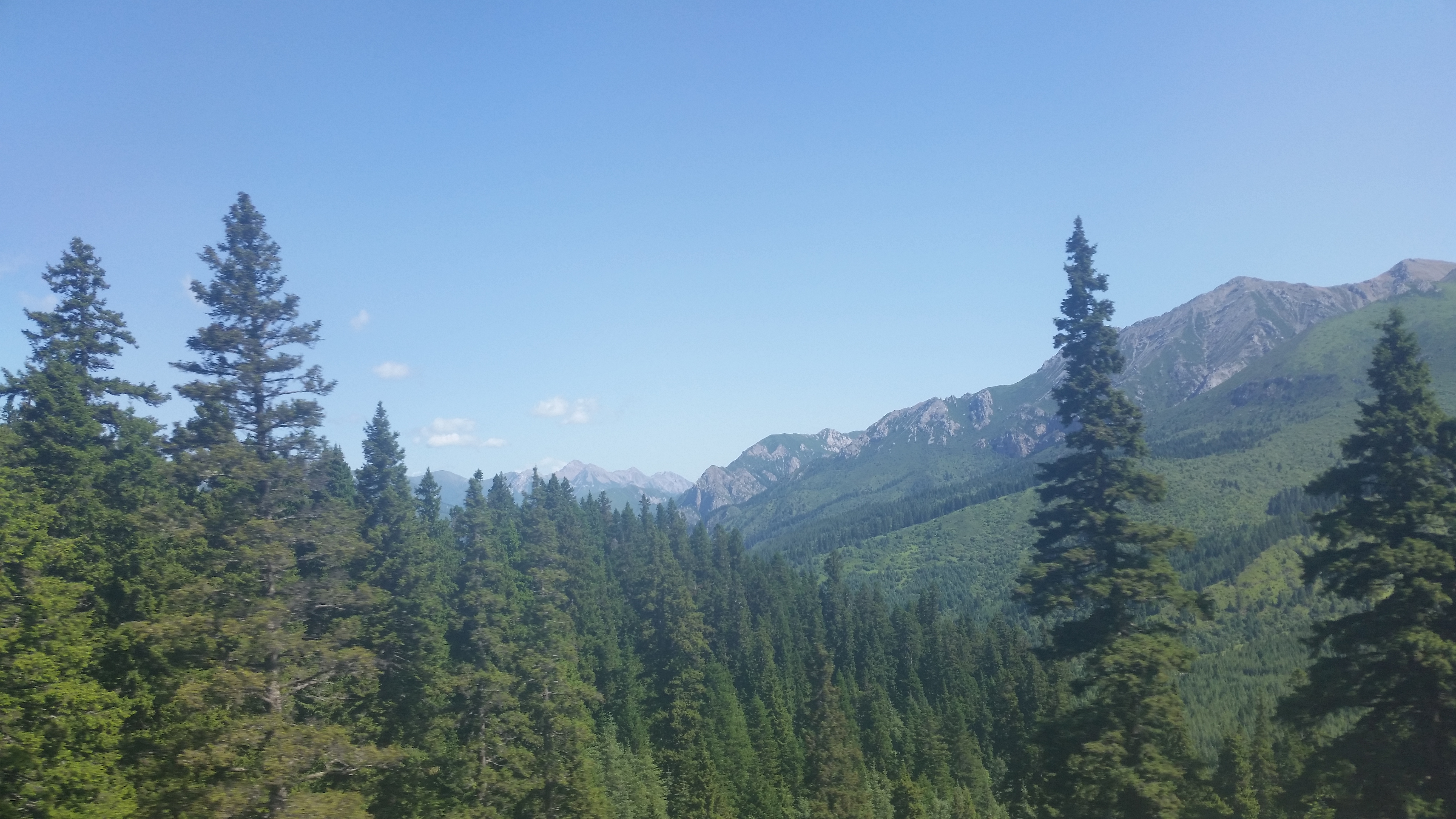 August 8: From Jiuzhaigou (九寨沟) to Tanggor (唐克）, 2860 m altitude Август 8: От Дзиуджайгоу (九寨沟) към Тангор (唐克）, 2860 м височина