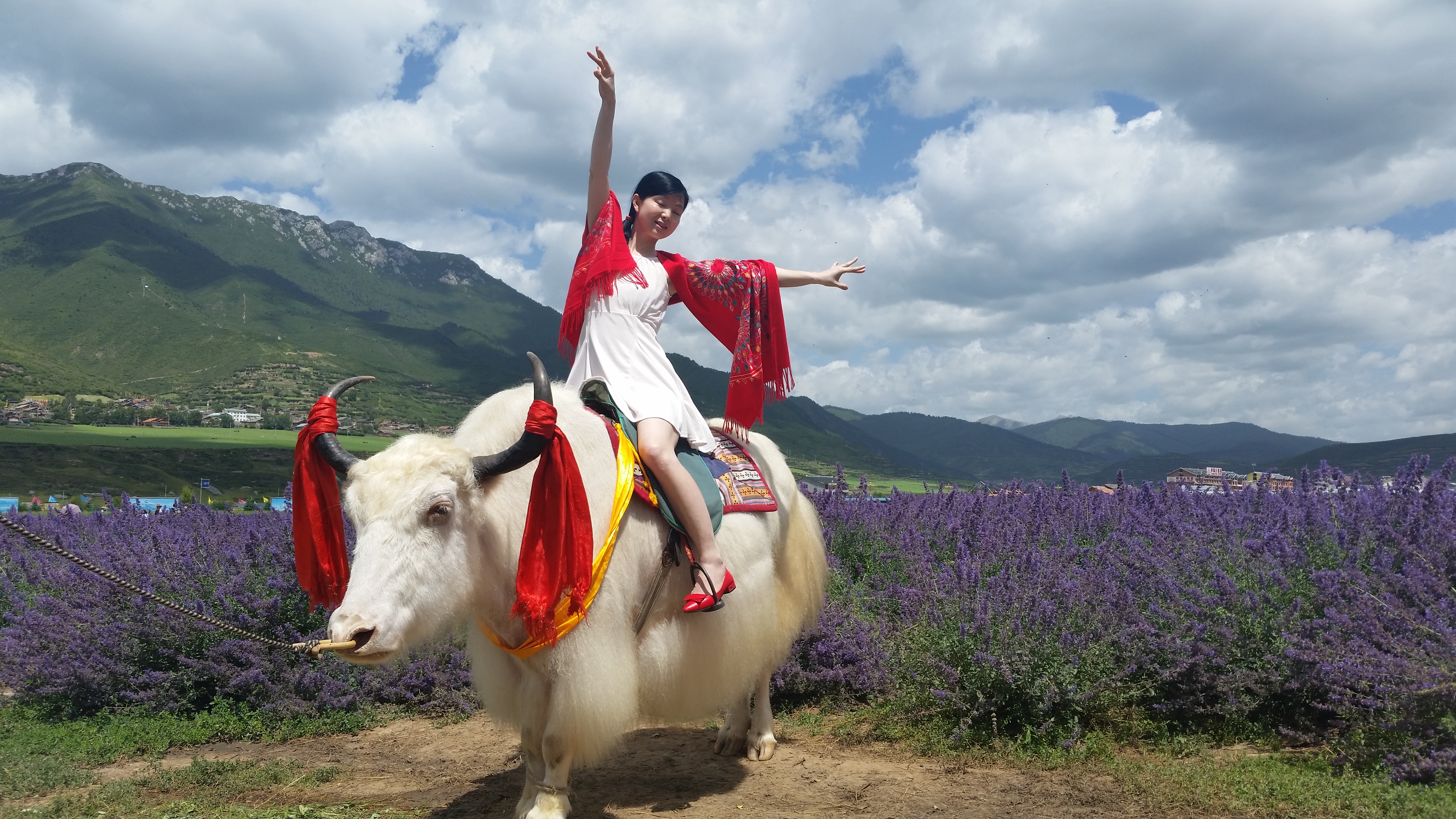 August 8: From Jiuzhaigou (九寨沟) to Tanggor (唐克）, 3080 m altitude Август 8: От Дзиуджайгоу (九寨沟) към Тангор (唐克）, 3080 м височина