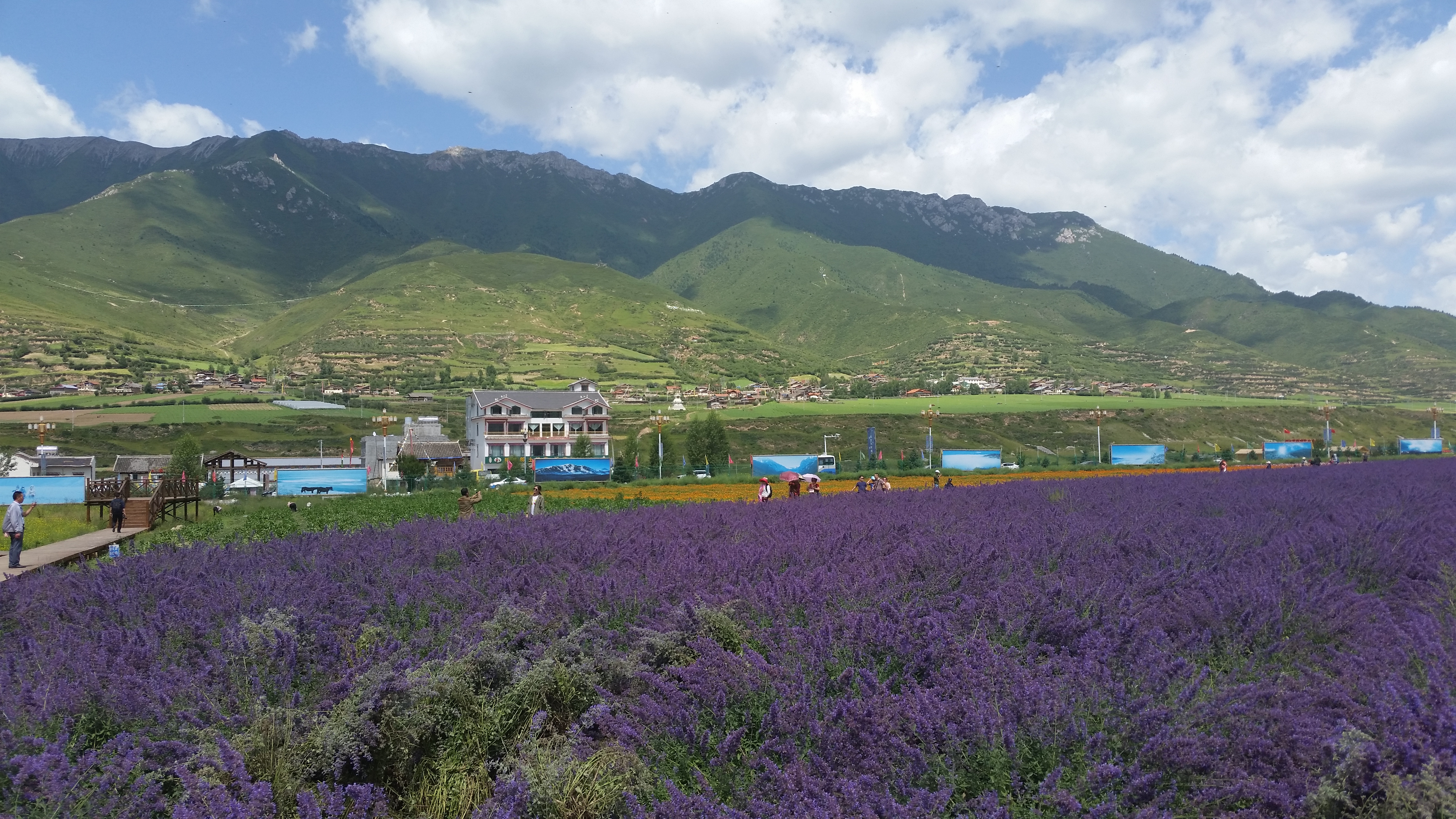 August 8: From Jiuzhaigou (九寨沟) to Tanggor (唐克）, 3080 m altitude Август 8: От Дзиуджайгоу (九寨沟) към Тангор (唐克）, 3080 м височина