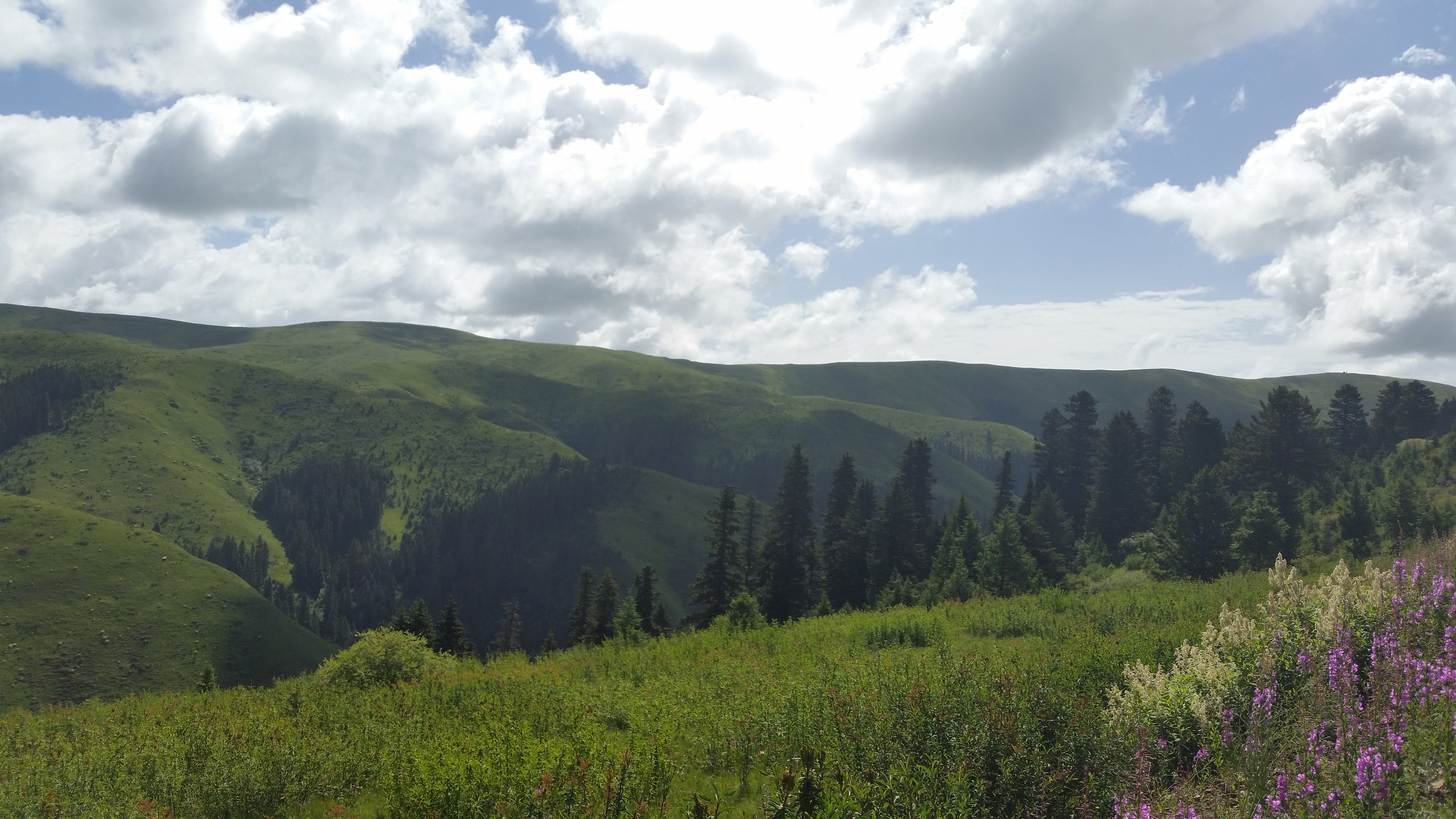 August 9: From Gakog (红原）to Jigdril (久治), 3920 m altitude  Август 9: От Гаког (红原）към Джигдрил  (久治), 3920 м височина