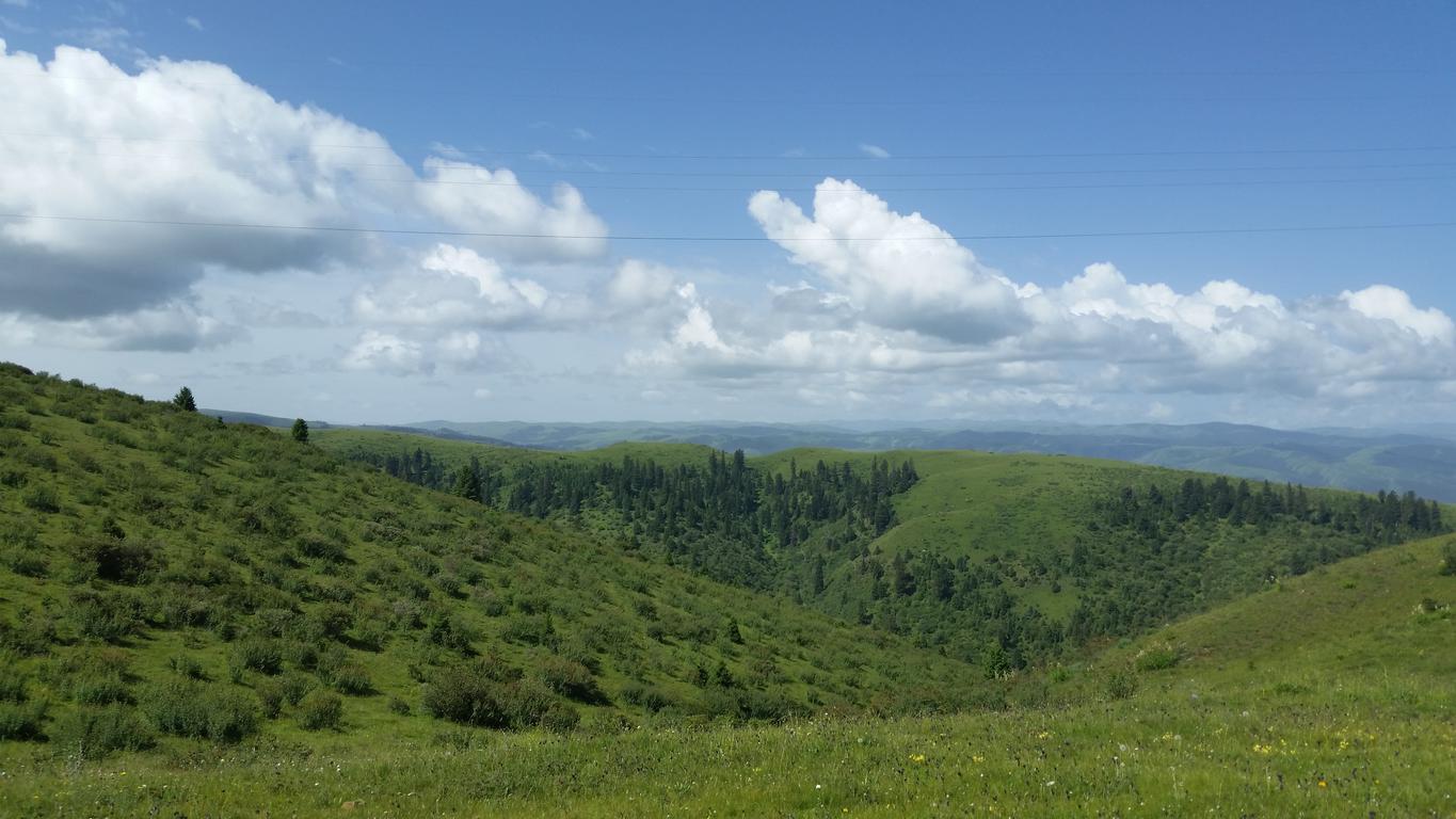 August 9: From Gakog (红原）to Jigdril (久治), 3920 m altitude  Август 9: От Гаког (红原）към Джигдрил  (久治), 3920 м височина