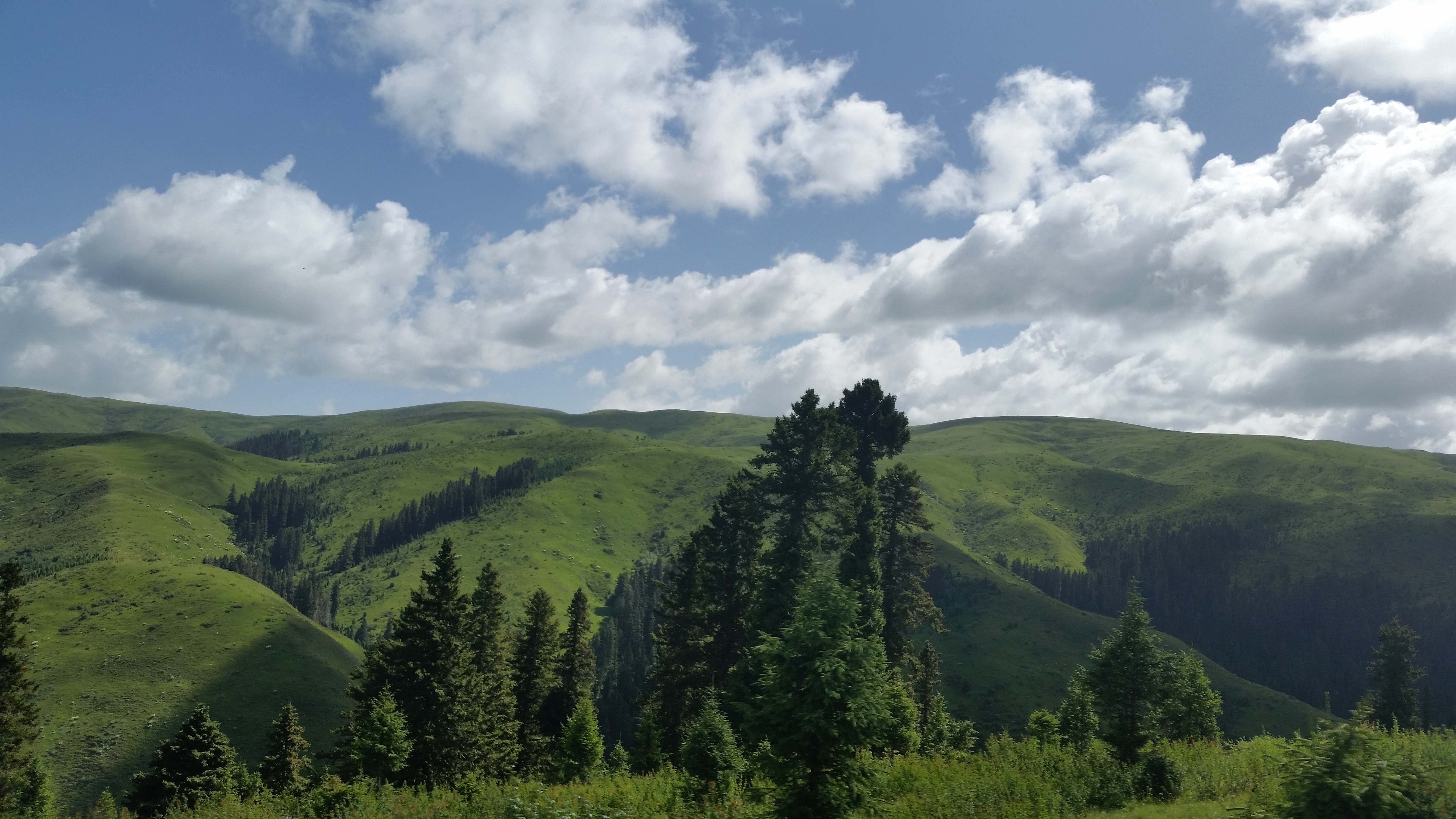 August 9: From Gakog (红原）to Jigdril (久治), 3920 m altitude  Август 9: От Гаког (红原）към Джигдрил  (久治), 3920 м височина