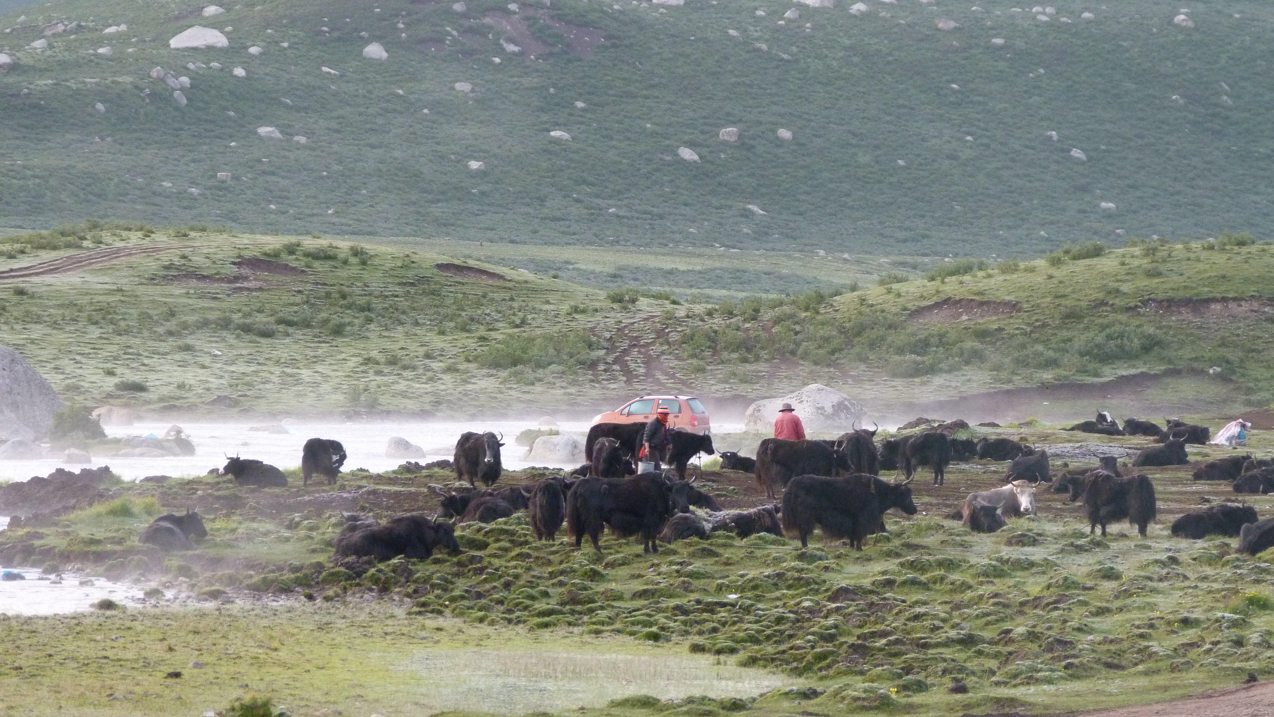 August 10: Nyenbo Yurtse (年保玉则,  གཉན་བོ་གཡུ་རྩེ།), 4020 m altitude  Август 10: Ниенбо Юрце (年保玉则,  གཉན་བོ་གཡུ་རྩེ།), 4020 м висо