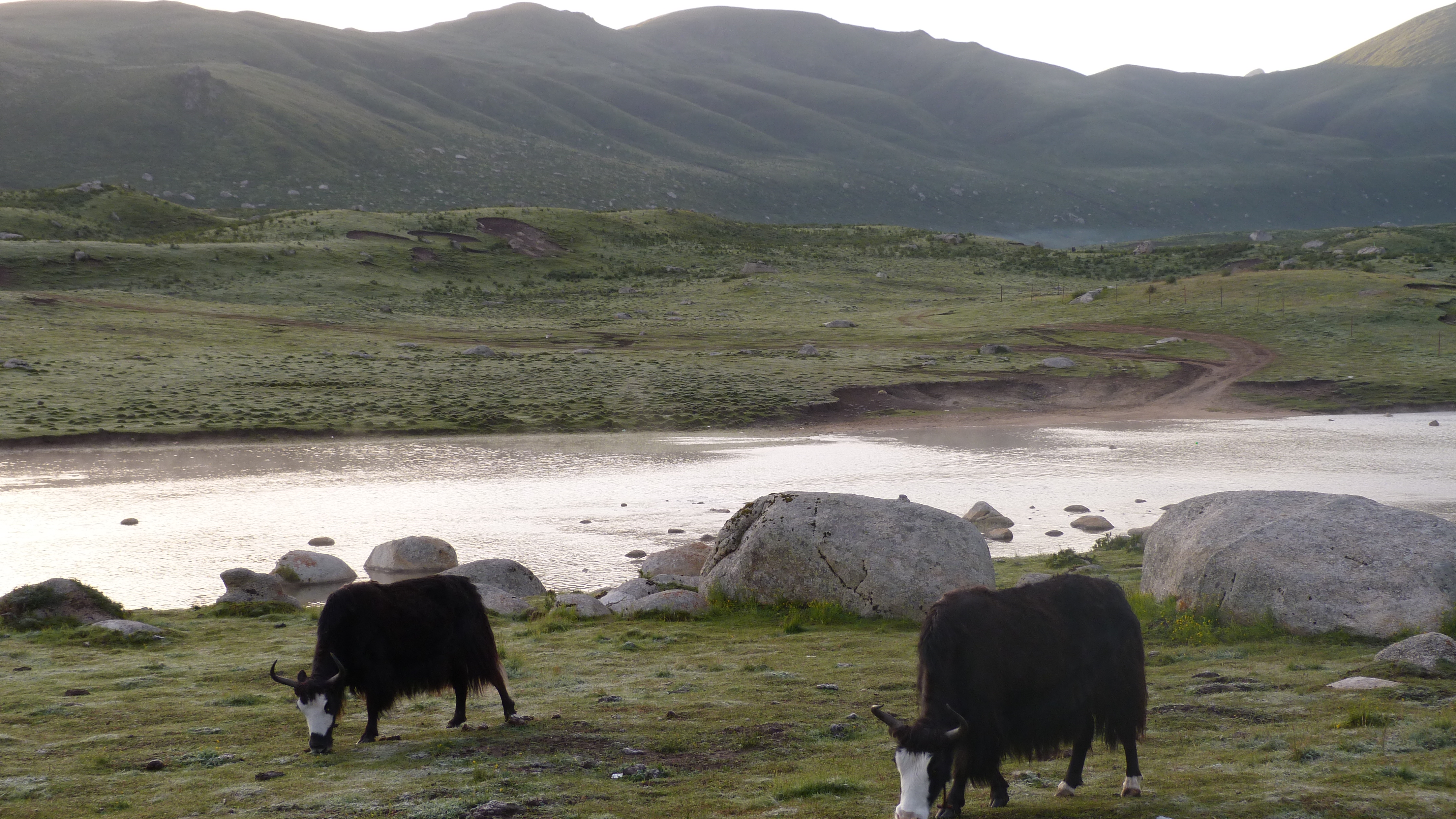 August 10: Nyenbo Yurtse (年保玉则,  གཉན་བོ་གཡུ་རྩེ།), 4020 m altitude  Август 10: Ниенбо Юрце (年保玉则,  གཉན་བོ་གཡུ་རྩེ།), 4020 м висо