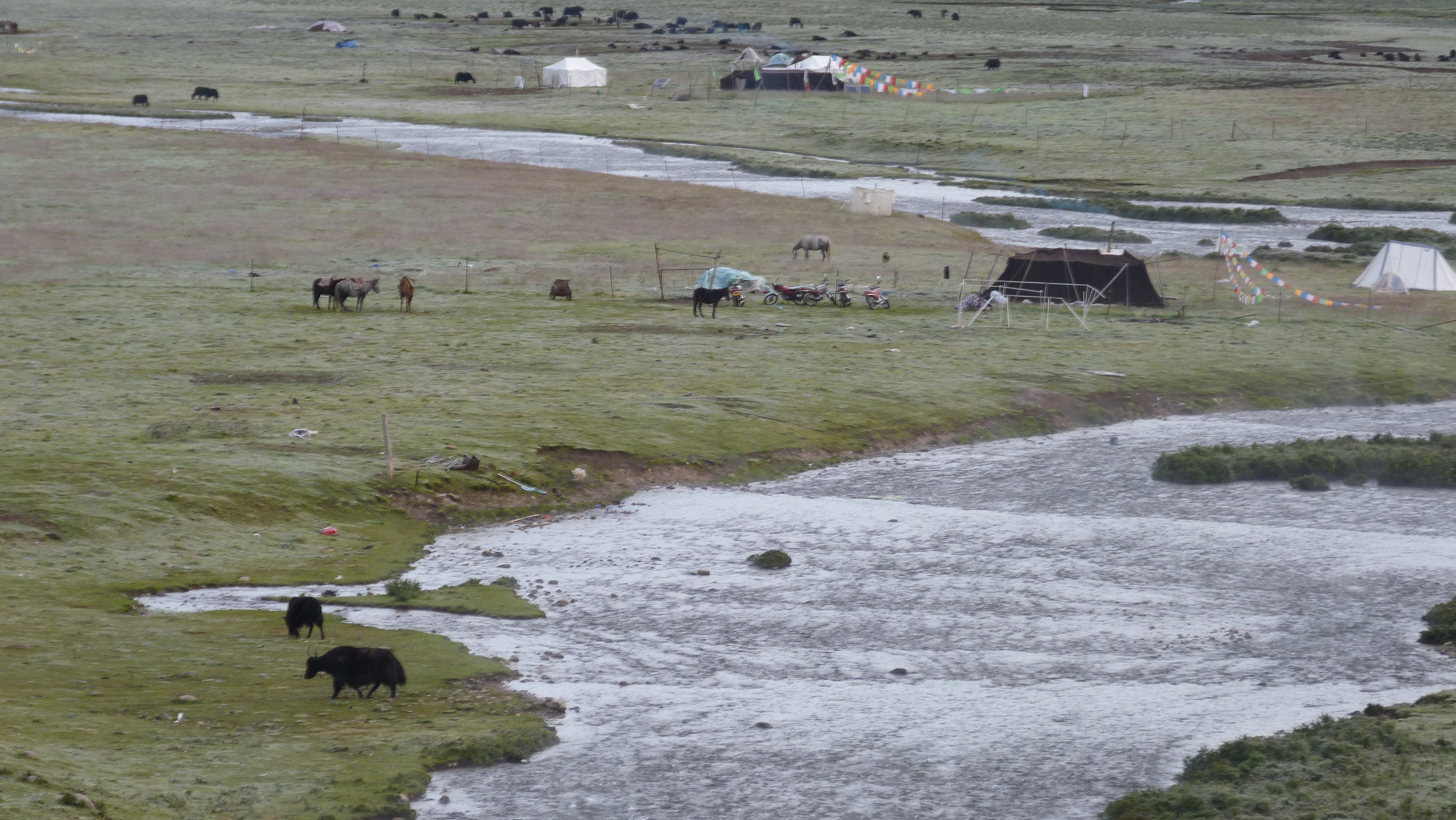 August 10: Nyenbo Yurtse (年保玉则,  གཉན་བོ་གཡུ་རྩེ།), 4020 m altitude  Август 10: Ниенбо Юрце (年保玉则,  གཉན་བོ་གཡུ་རྩེ།), 4020 м висо