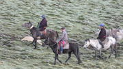 August 10: Nyenbo Yurtse (年保玉则,  གཉན་བོ་གཡུ་རྩེ།), 4020 m altitude  Август 10: Ниенбо Юрце (年保玉则,  གཉན་བོ་གཡུ་རྩེ།), 4020 м висо