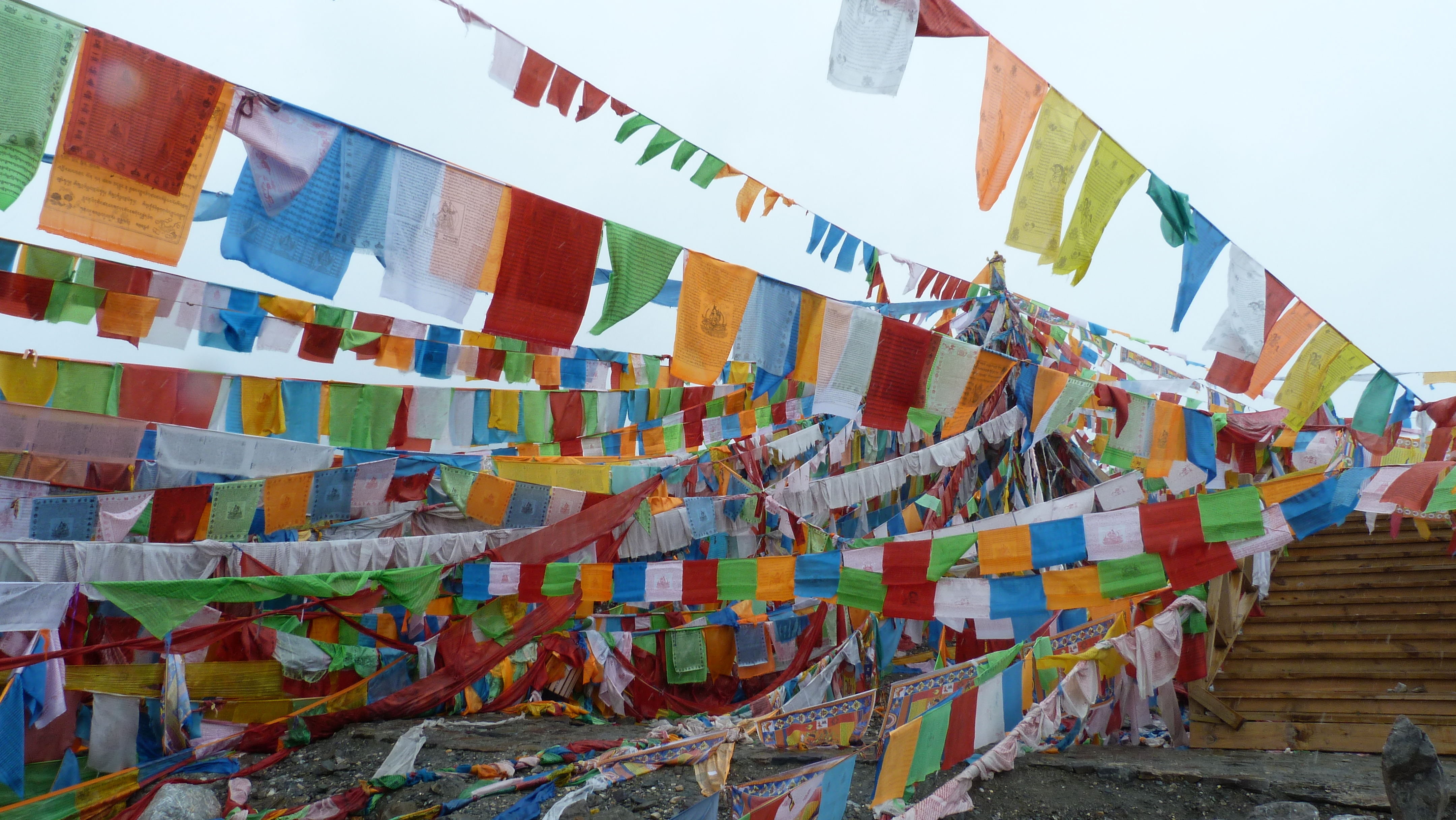 August 11: Amnye Machen (阿尼玛卿, ཨ་མྱིས་རྨ་ཆེན།）, Drakde La pass, 4610 m altitude Август 11: Амне Мачин (阿尼玛卿, ཨ་མྱིས་རྨ་ཆེན།）, на