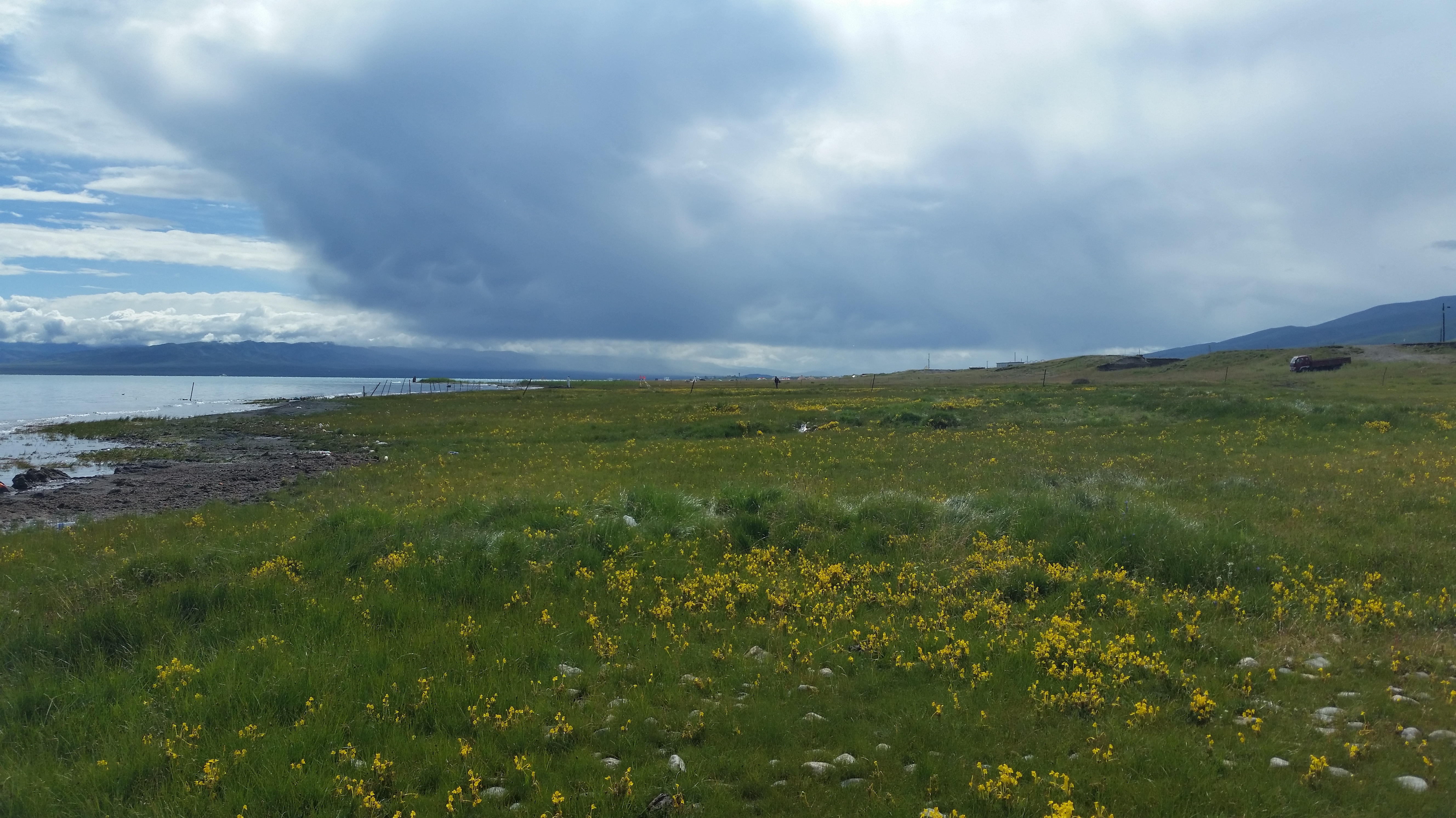 August 12: Qinghai lake (青海湖, མཚོ་སྔོན་པོ།）, 3210 m altitude Август 12: Езерото Чинхай (青海湖, མཚོ་སྔོན་པོ།）, 3210 м височина