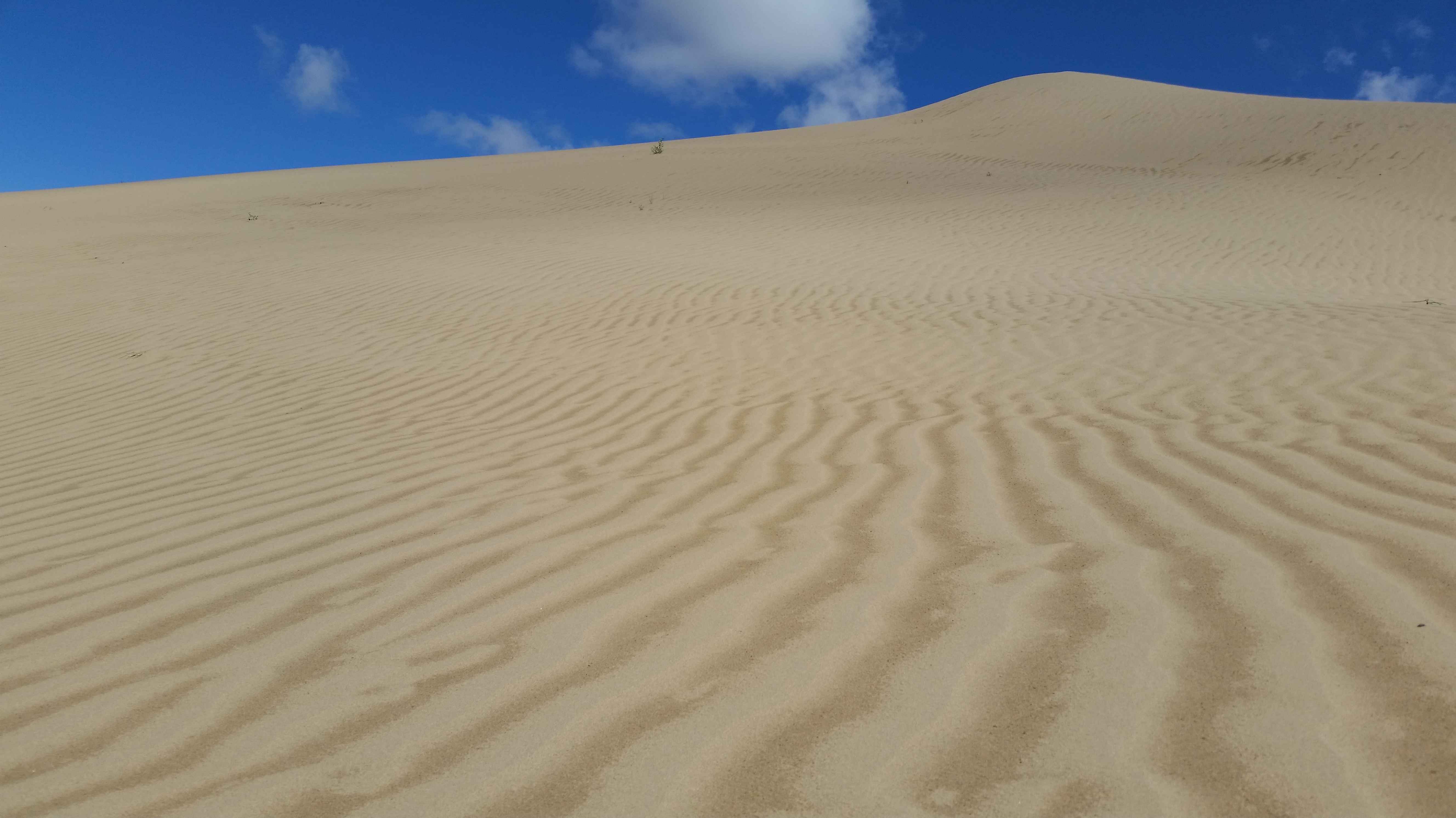 August 12: Golden Sands Bay desert (金沙湾沙漠།）, 3260 m altitude Август 12: Пустинята Залив Златни пясъци (金沙湾沙漠།）, 3260 м височина