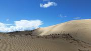 August 12: Golden Sands Bay desert (金沙湾沙漠།）, 3260 m altitude Август 12: Пустинята Залив Златни пясъци (金沙湾沙漠།）, 3260 м височина