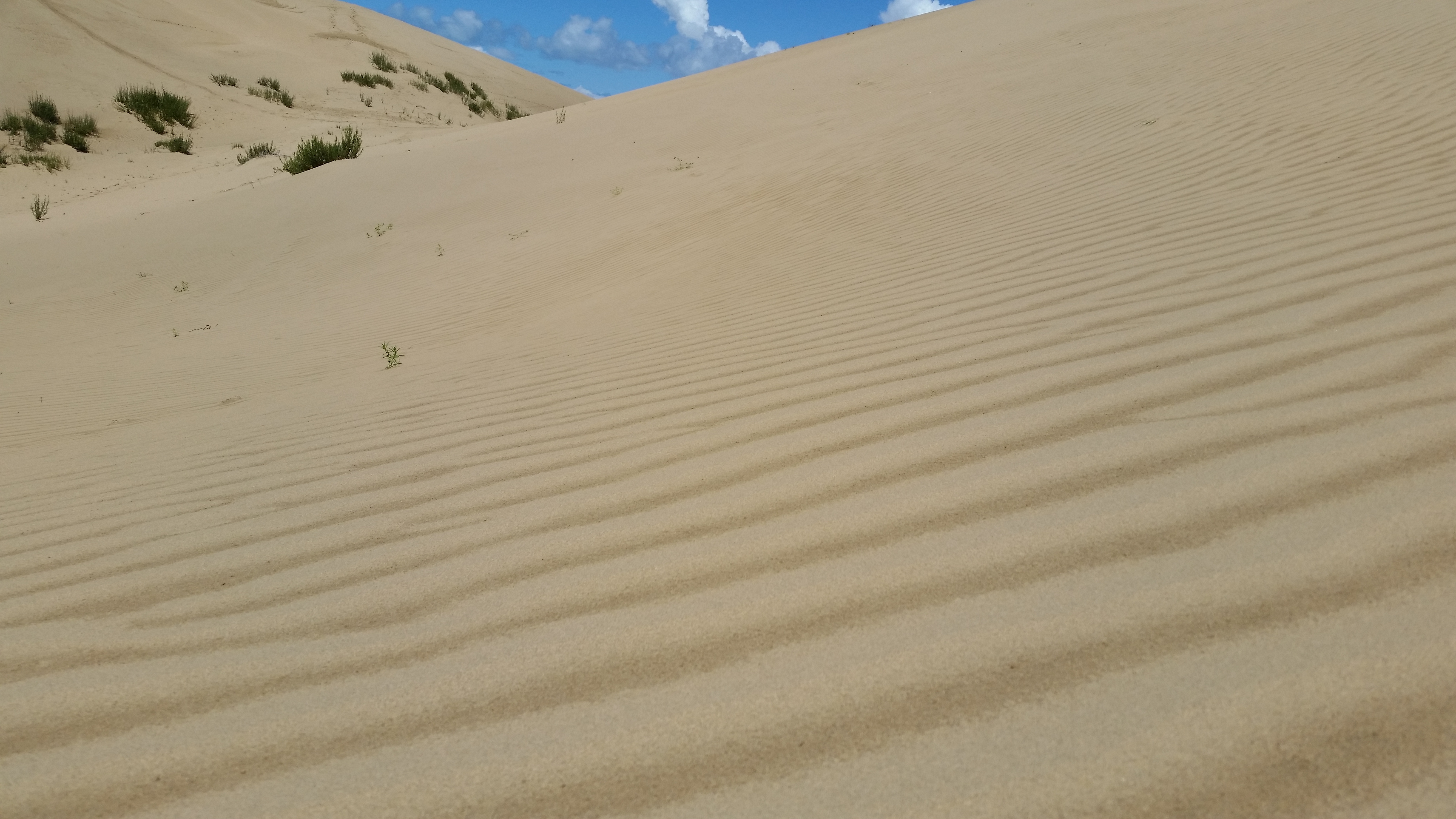 August 12: Golden Sands Bay desert (金沙湾沙漠།）, 3260 m altitude Август 12: Пустинята Залив Златни пясъци (金沙湾沙漠།）, 3260 м височина