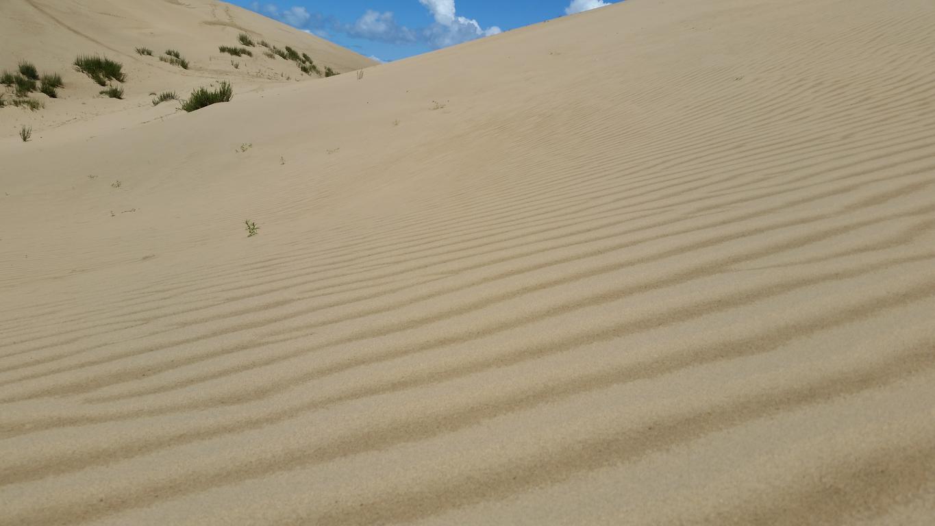 August 12: Golden Sands Bay desert (金沙湾沙漠།）, 3260 m altitude Август 12: Пустинята Залив Златни пясъци (金沙湾沙漠།）, 3260 м височина