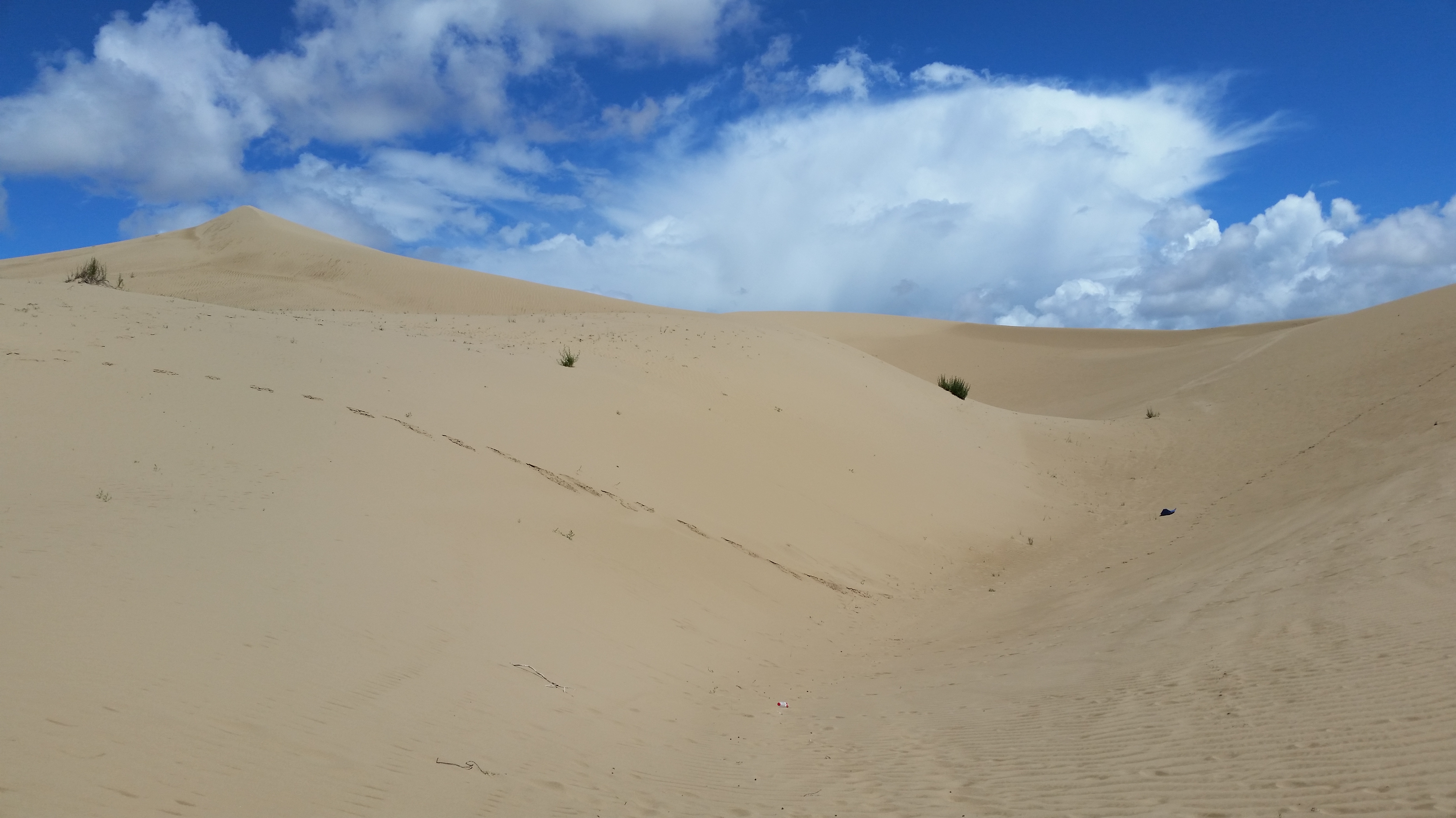 August 12: Golden Sands Bay desert (金沙湾沙漠།）, 3260 m altitude Август 12: Пустинята Залив Златни пясъци (金沙湾沙漠།）, 3260 м височина