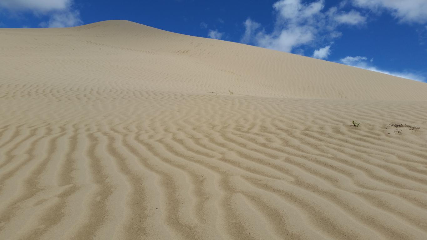 August 12: Golden Sands Bay desert (金沙湾沙漠།）, 3260 m altitude Август 12: Пустинята Залив Златни пясъци (金沙湾沙漠།）, 3260 м височина